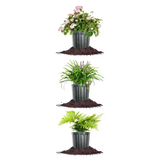 1 Gal. Home Garden Collection, 8-pack - Image 12