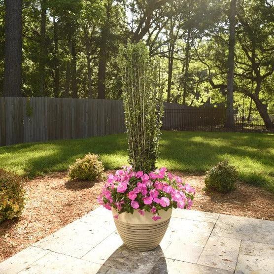 1 Gal. Home Garden Collection, 8-pack - Image 5