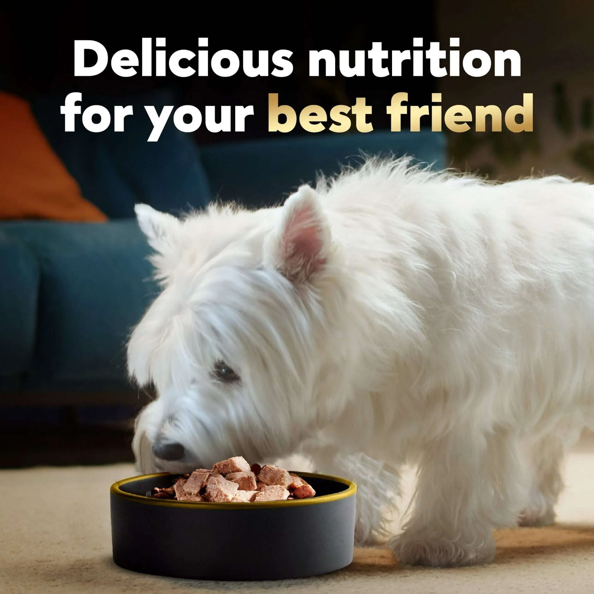 (12 pack) Cesar Classic Loaf in Sauce Grilled Chicken Wet Dog Food, 3.5 oz Easy Peel Tray - Image 4