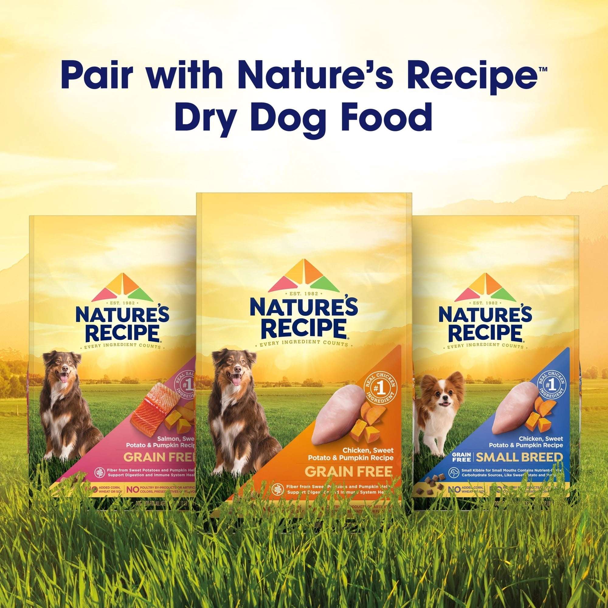 (12 pack) Nature's Recipe Grain Free Chicken & Lamb in Savory Broth Wet Dog Food, 2.75 oz Cup - Image 9