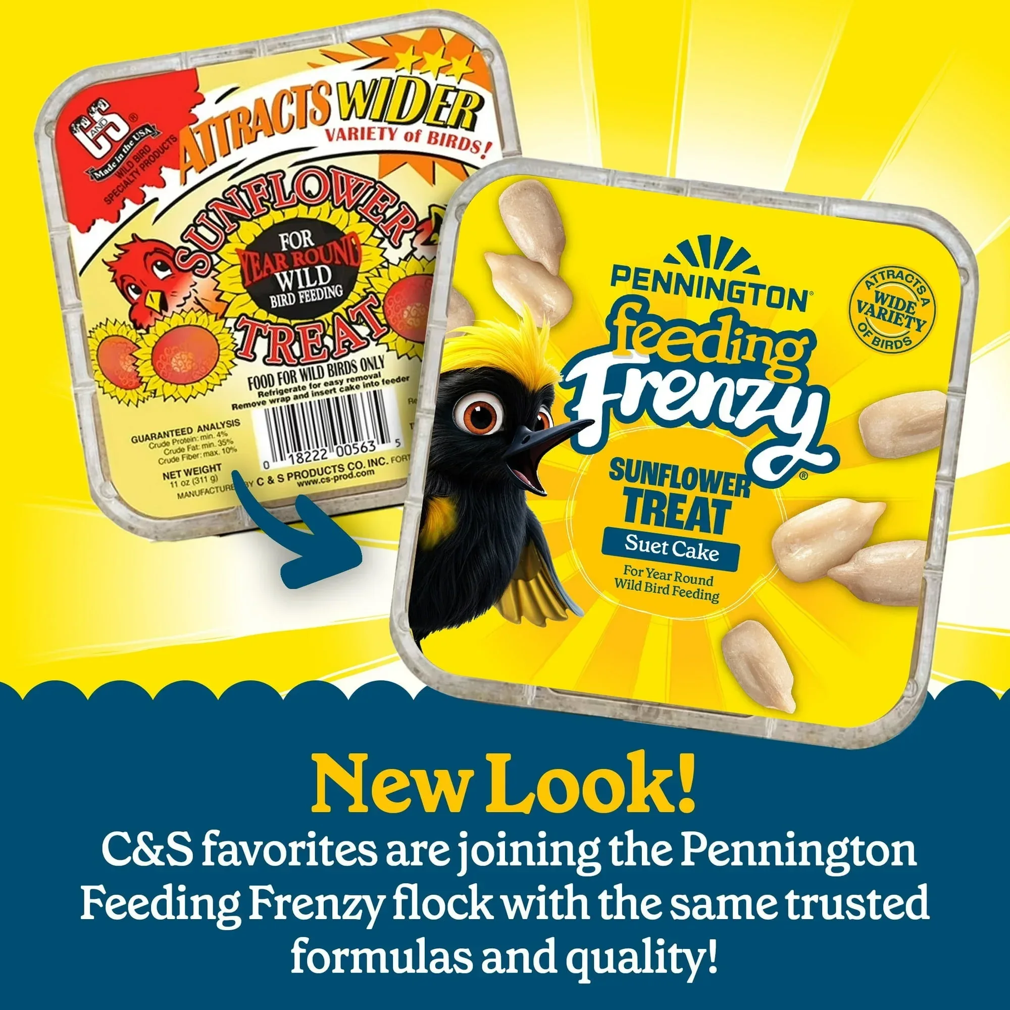 (12 pack) Pennington Feeding Frenzy Sunflower Suet Treat Cake 11 oz, Wild Bird Food, Suet Cakes for Wild Birds, 1 Pack, Fresh - Image 3