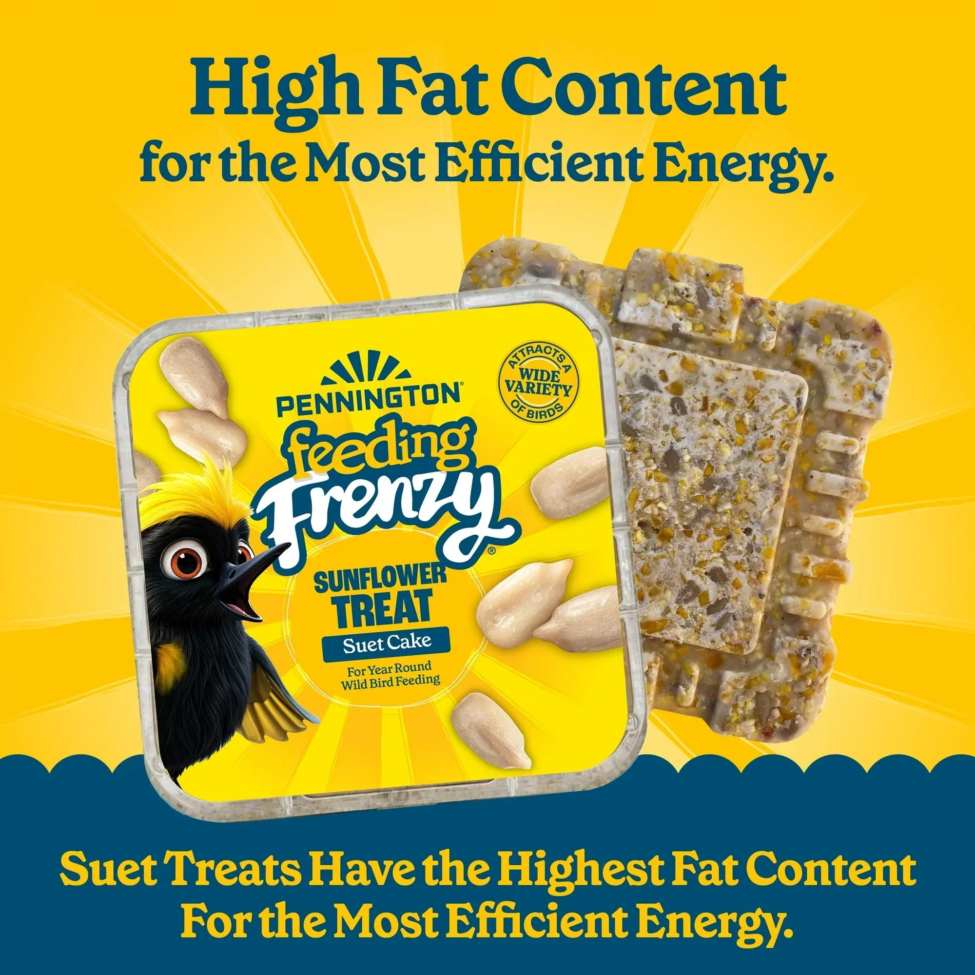 (12 pack) Pennington Feeding Frenzy Sunflower Suet Treat Cake 11 oz, Wild Bird Food, Suet Cakes for Wild Birds, 1 Pack, Fresh - Image 4