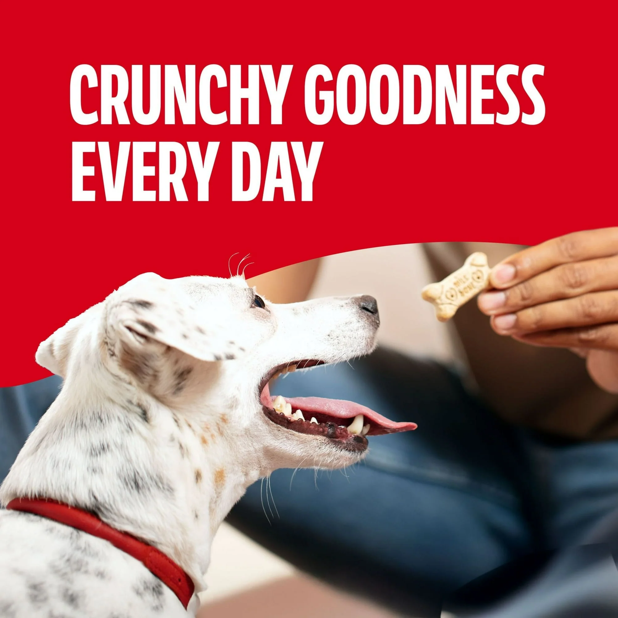 (2 pack) Milk Bone Original Biscuits, Small Dog Treats, 24 oz Box - Image 3
