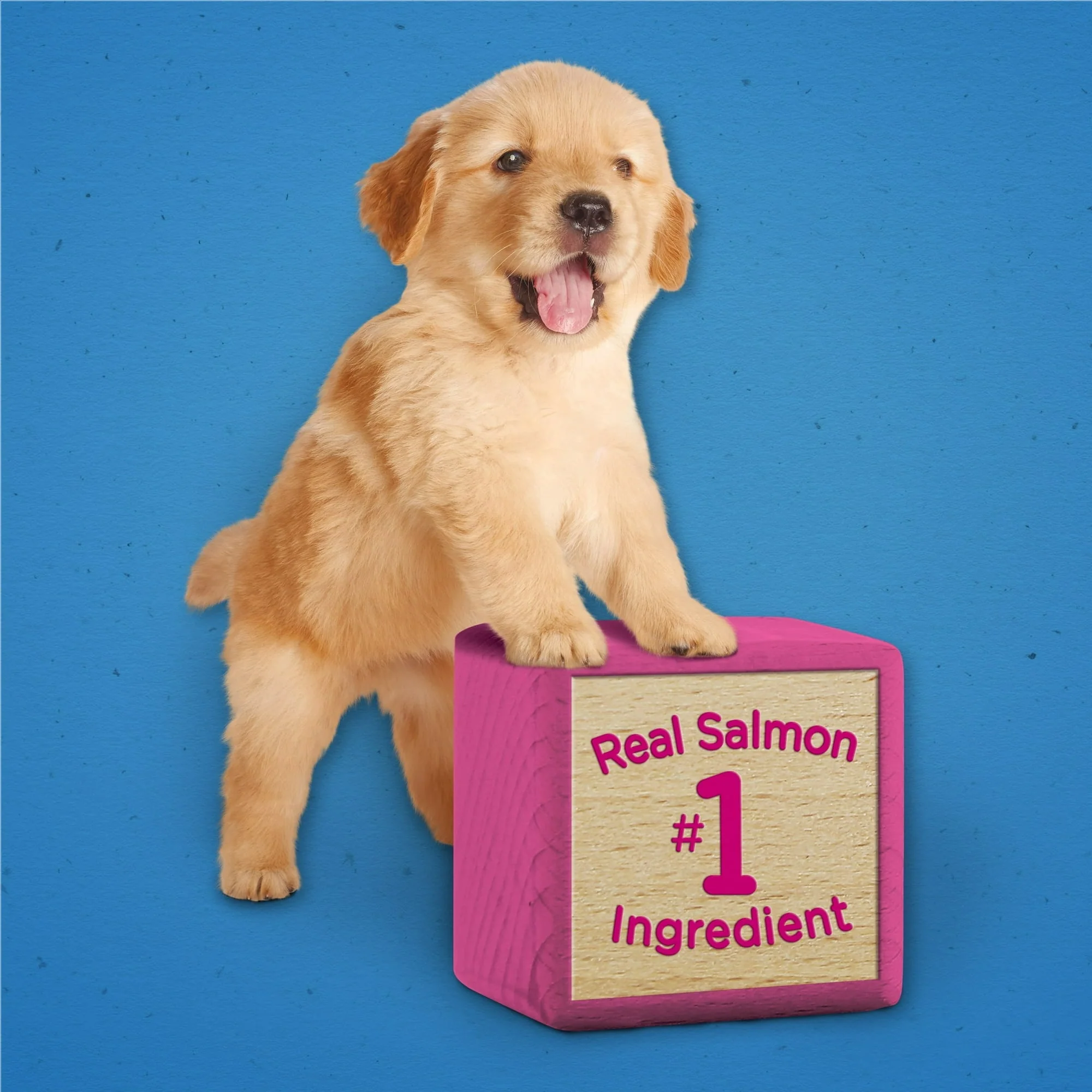 (2 pack) Purina Puppy Chow Dog Training Treats, Healthy Start with Real Salmon, 7 oz Pouch - Image 10
