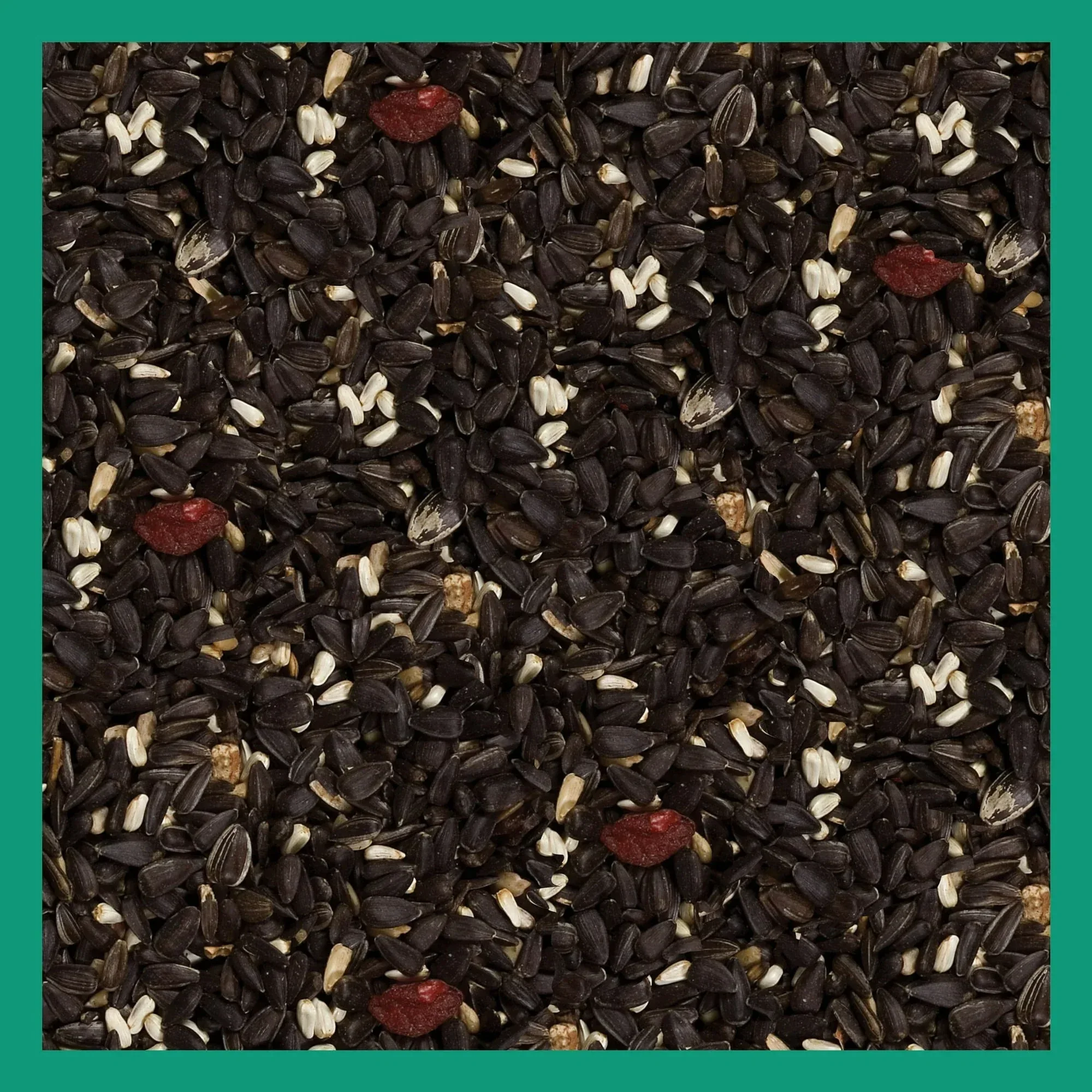 3-D Pro Blends Songbird Blend Wild Bird Food, Wild Bird Seeds, 5 Pounds - Image 14