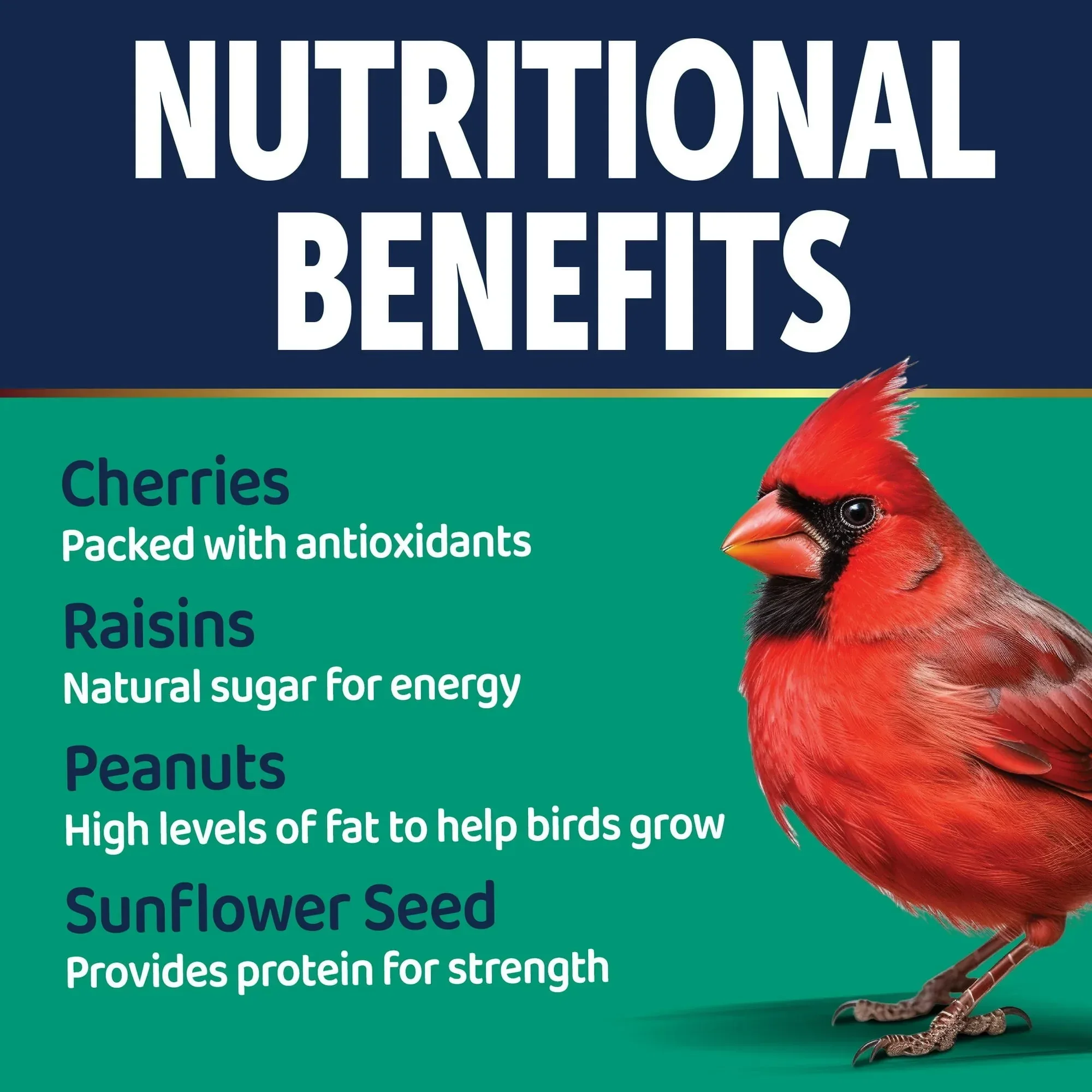 3-D Pro Blends Songbird Blend Wild Bird Food, Wild Bird Seeds, 5 Pounds - Image 16