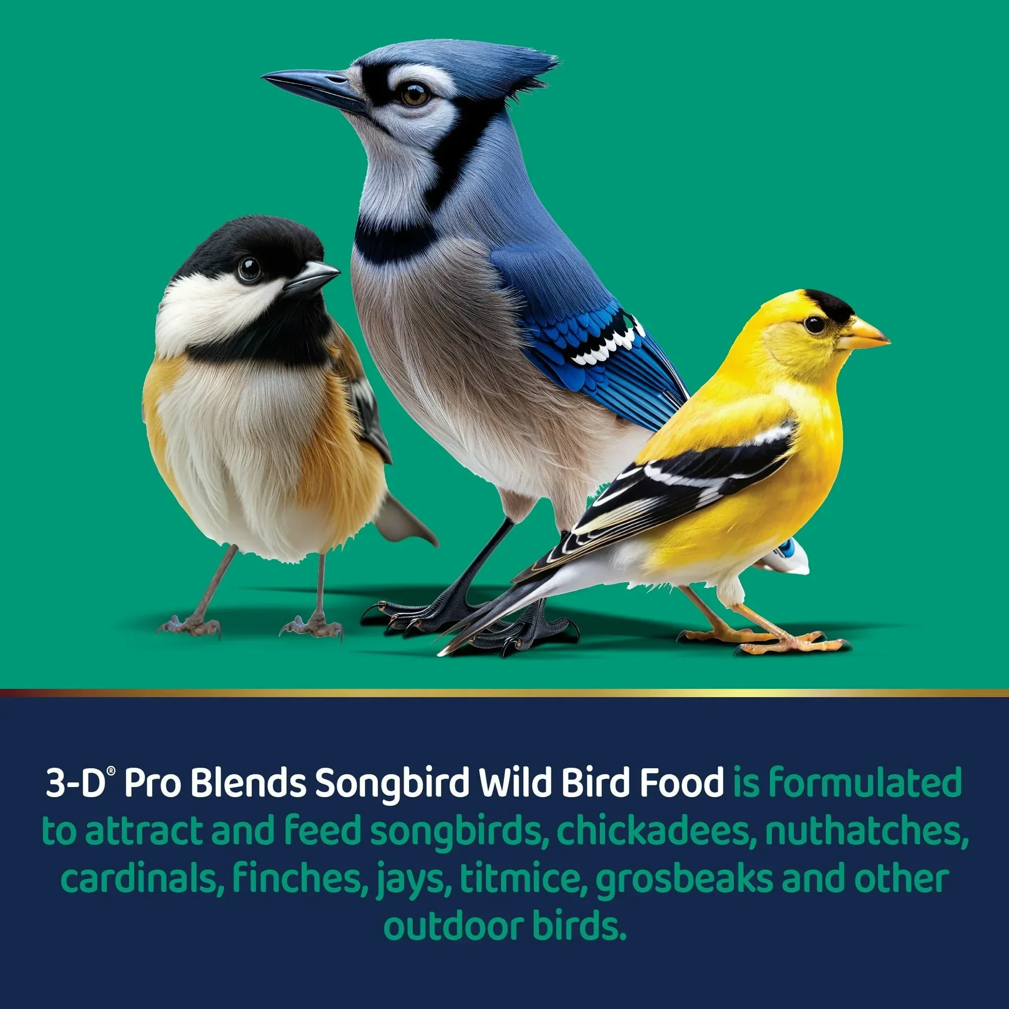 3-D Pro Blends Songbird Blend Wild Bird Food, Wild Bird Seeds, 5 Pounds - Image 6