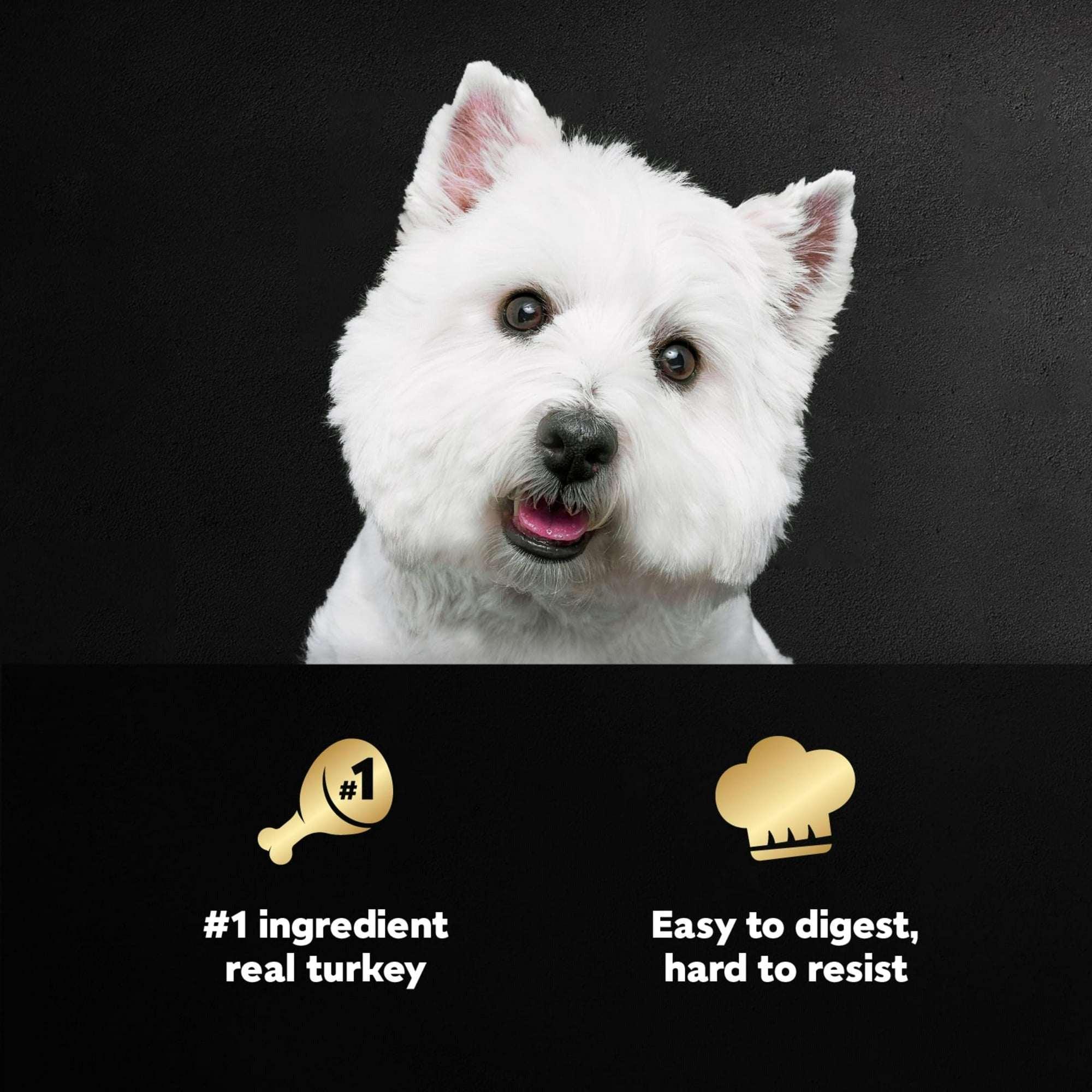 (3 pack) Cesar Filets in Gravy Turkey Recipe Flavor Adult Wet Dog Food, 3.5 oz Tray - Image 4