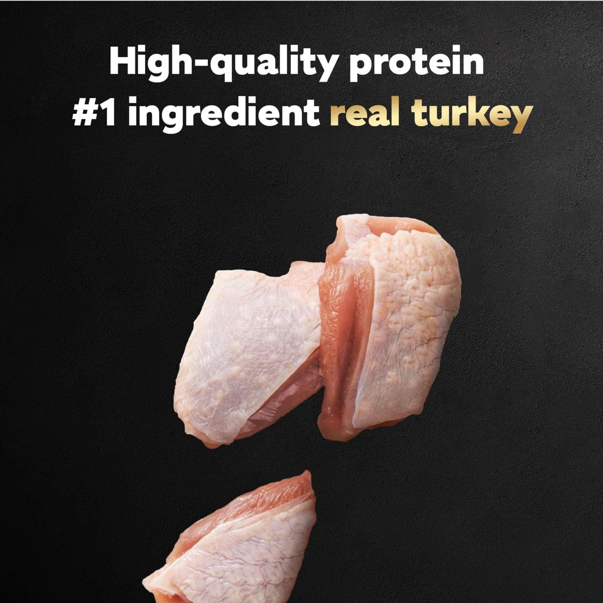 (3 pack) Cesar Filets in Gravy Turkey Recipe Flavor Adult Wet Dog Food, 3.5 oz Tray - Image 5