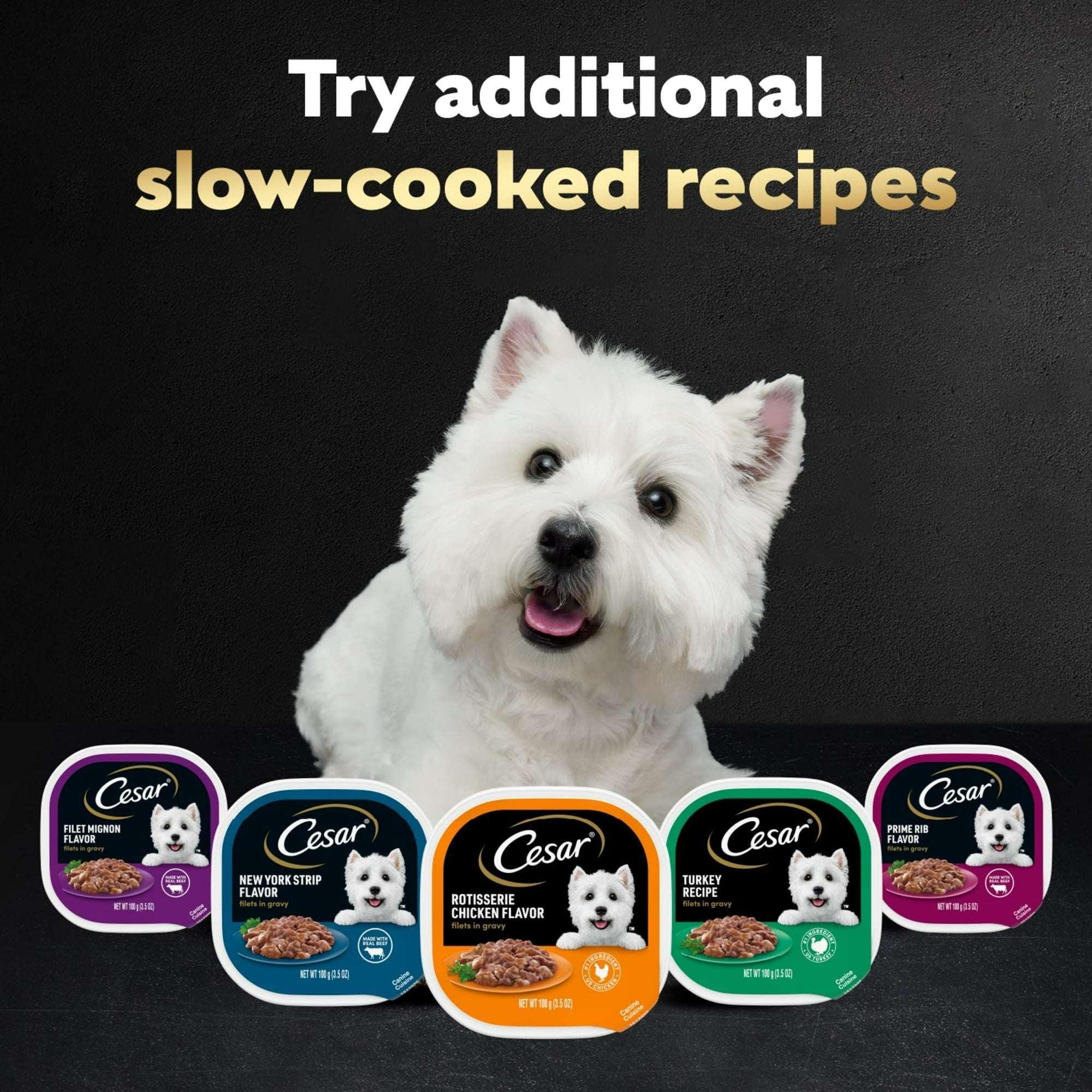 (3 pack) Cesar Filets in Gravy Turkey Recipe Flavor Adult Wet Dog Food, 3.5 oz Tray - Image 8