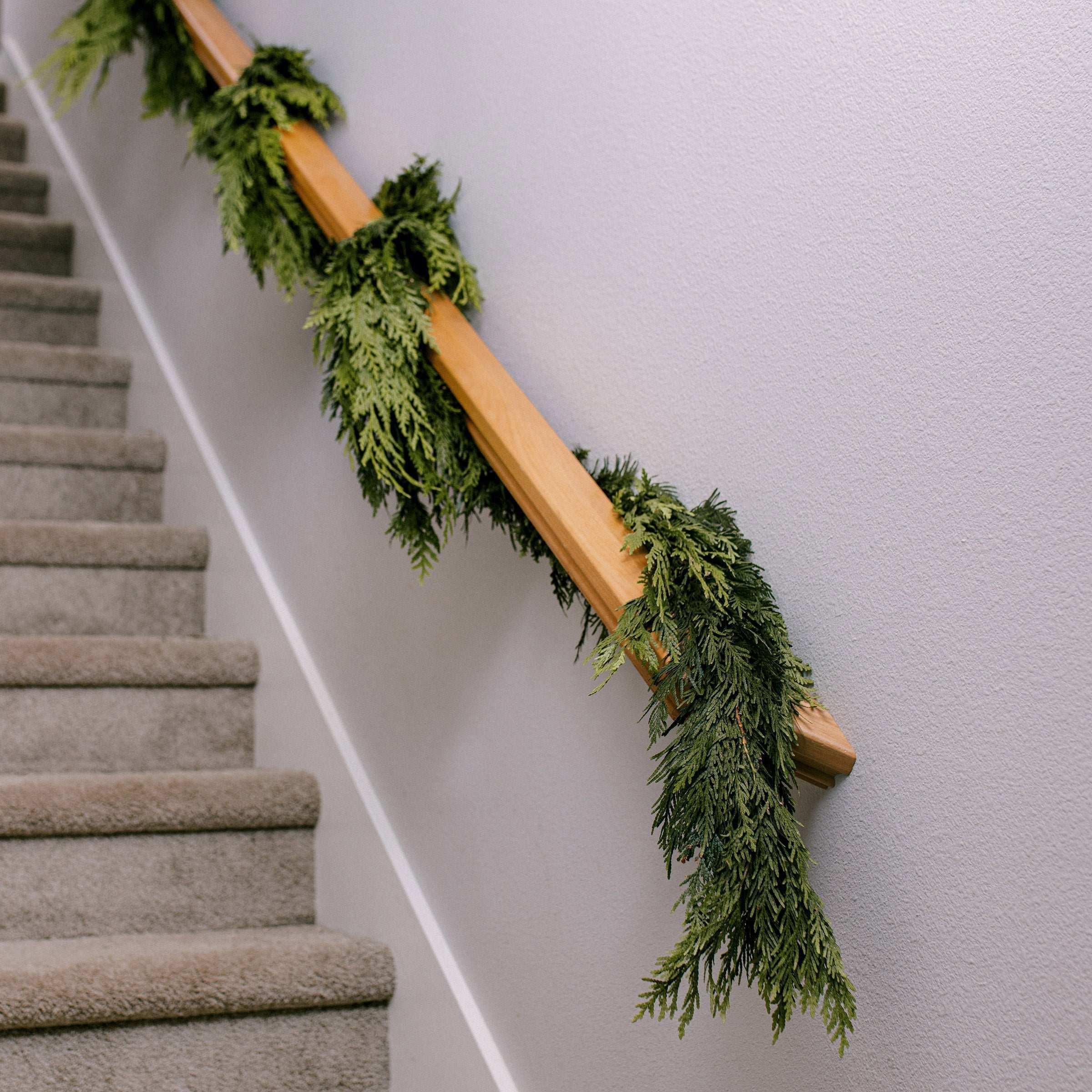 30’ Fresh Western Red Cedar Garland - Image 3