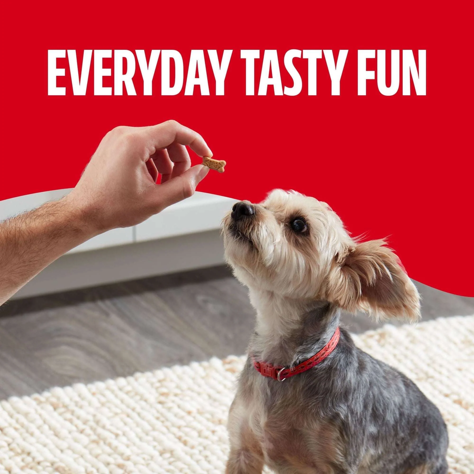(5 pack) Milk Bone Soft & Chewy Mini’s Dog Treats, Made with Real Chicken, 4.5 oz Pouch - Image 7
