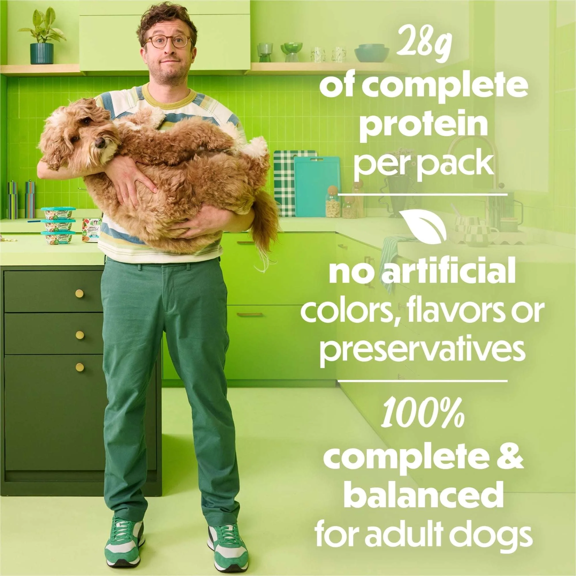 (6 pack) Purina Beneful Dog Food Freshly Prepared Meals, High Protein Wet Dog Food, Dog Food Gravy, Chicken Stew, 10 oz. - Image 5