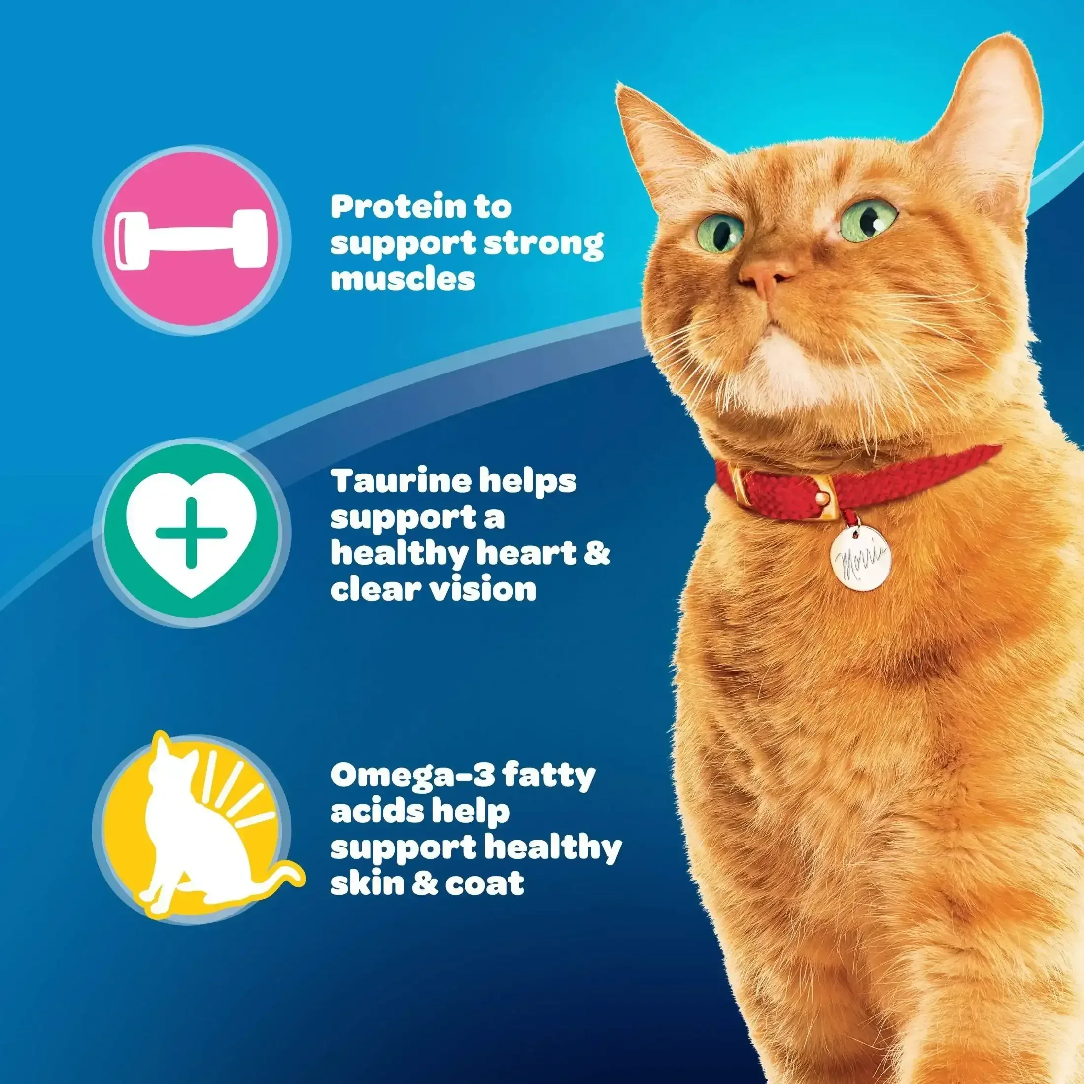 9Lives Daily Essentials Dry Cat Food - Image 4