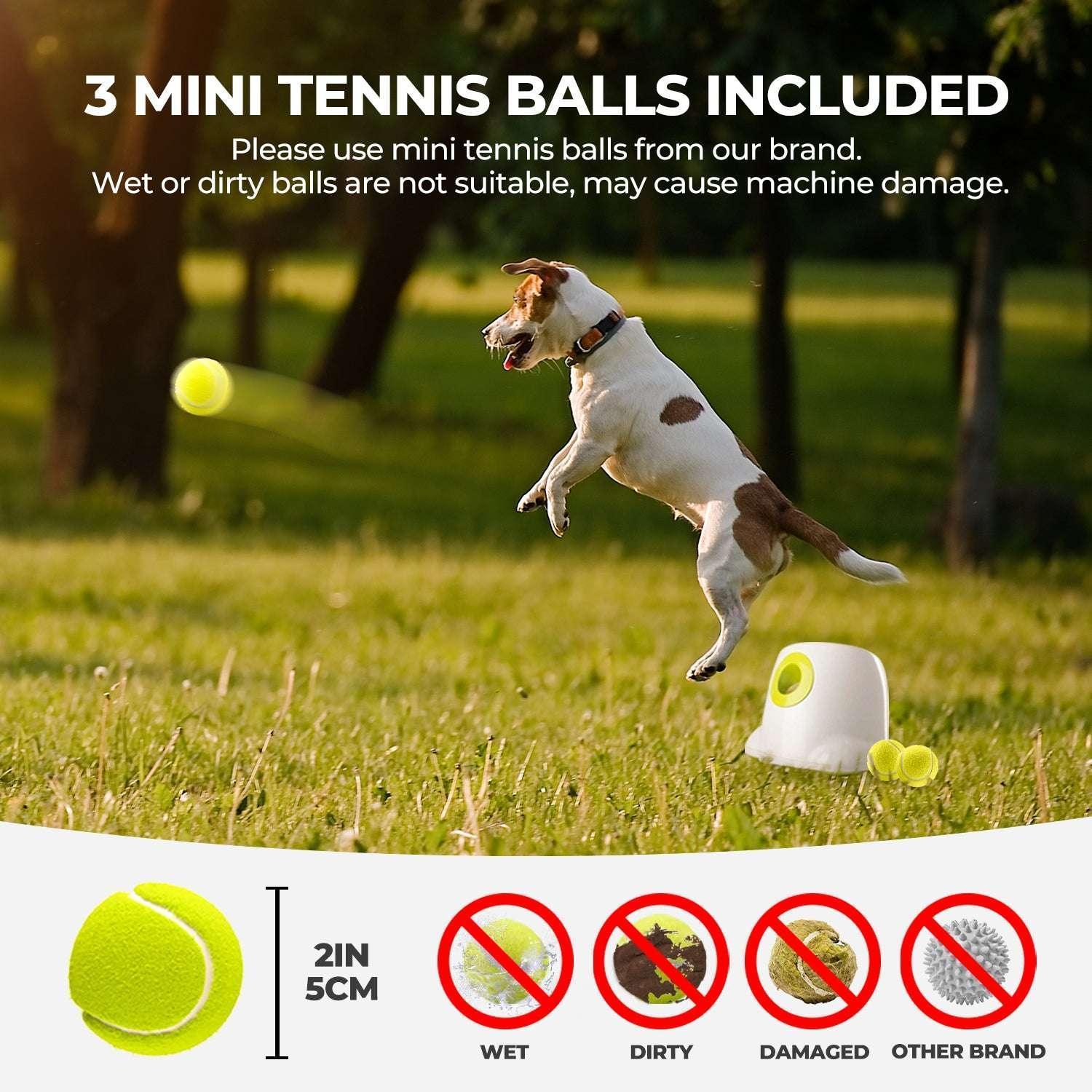 All For Paws Automatic Tennis Ball Launcher for Small to Medium Sized Dogs, 3 Balls Included, Mini - Image 5
