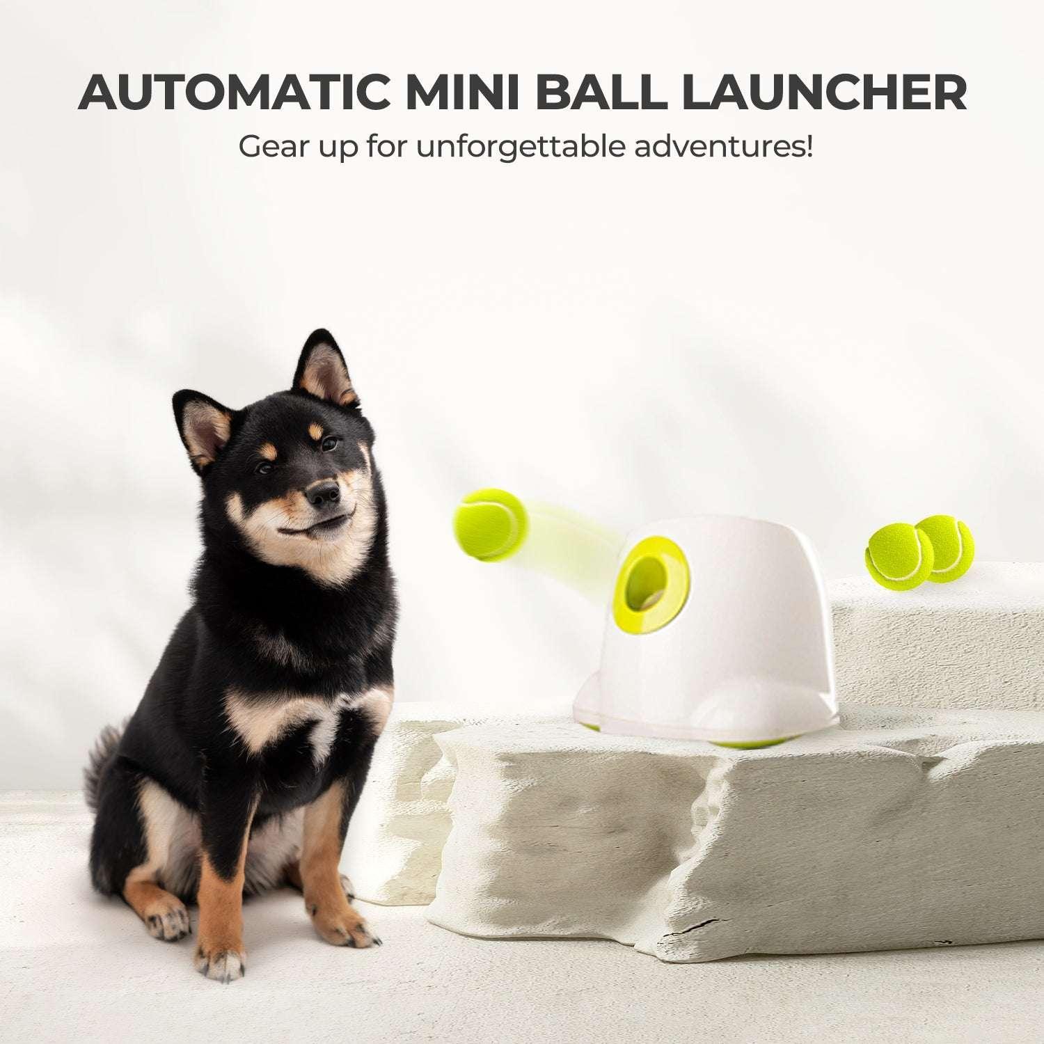 All For Paws Automatic Tennis Ball Launcher for Small to Medium Sized Dogs, 3 Balls Included, Mini - Image 7