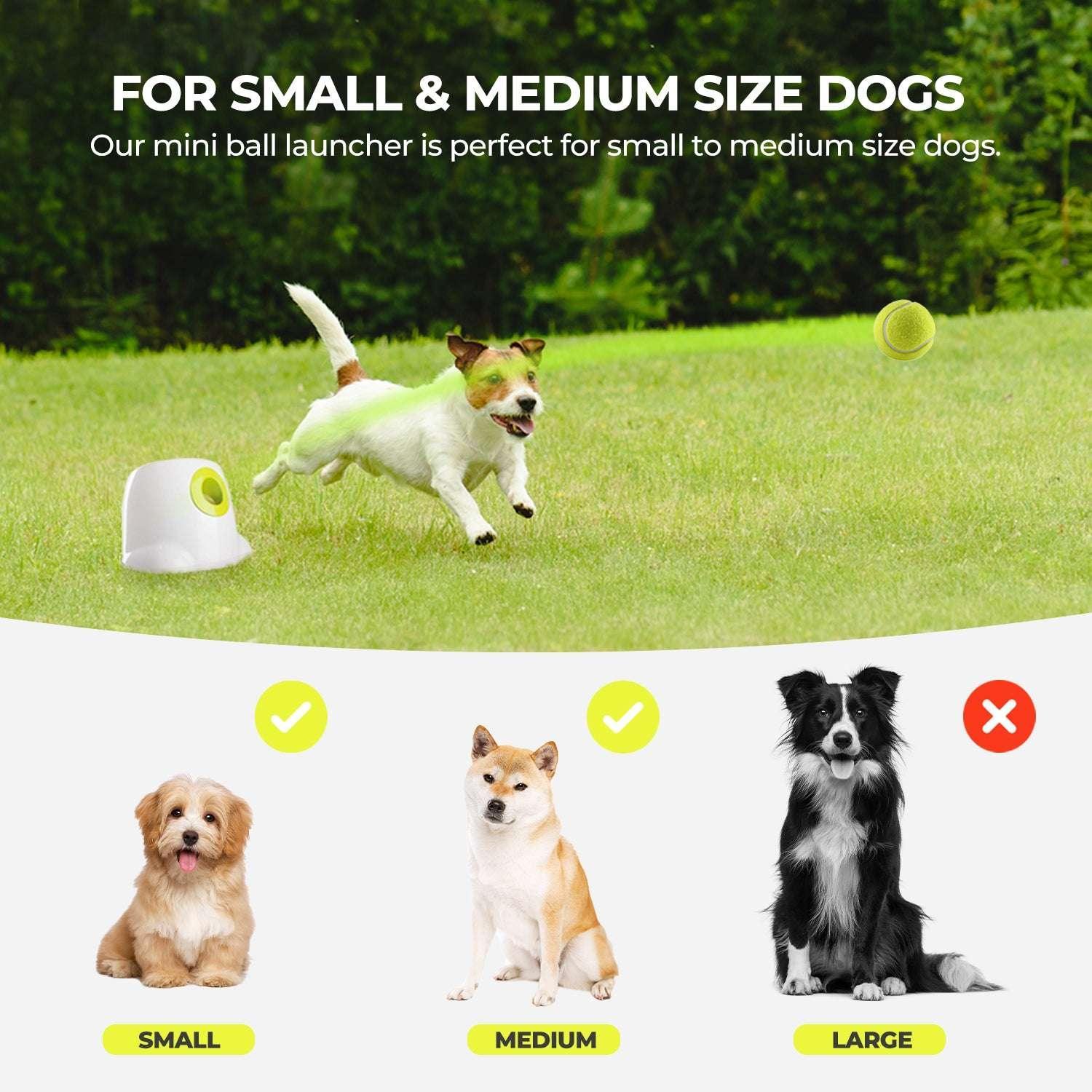 All For Paws Automatic Tennis Ball Launcher for Small to Medium Sized Dogs, 3 Balls Included, Mini - Image 9