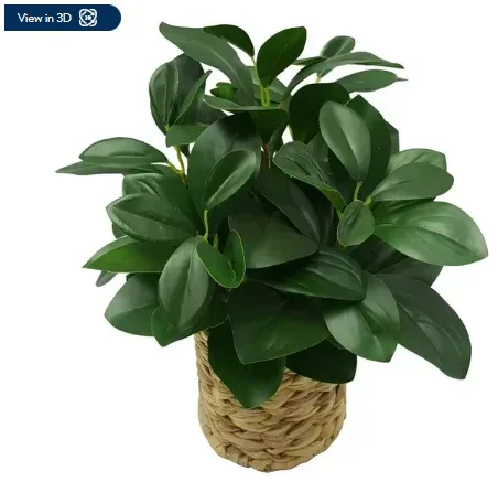 Better Homes & Gardens 13" Artificial Peperomia Plant in Natural Wicker Basket - Image 2