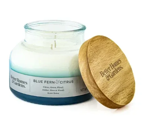 Better Homes & Gardens 18oz Blue Fern & Citrus Scented 2-Wick Ombre Bell Jar Candle - Image 2