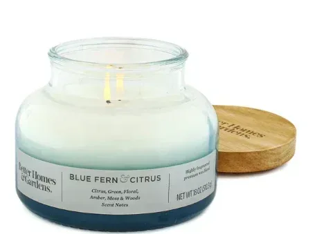 Better Homes & Gardens 18oz Blue Fern & Citrus Scented 2-Wick Ombre Bell Jar Candle - Image 3