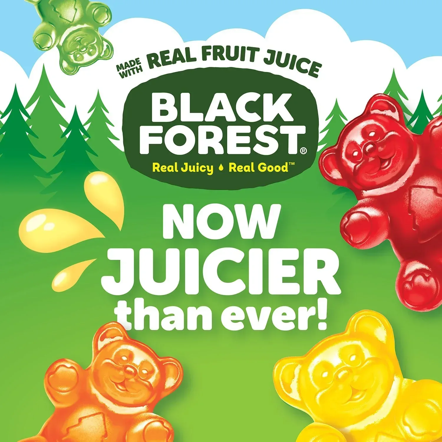 Black Forest Gummy Bears, 4 lbs.