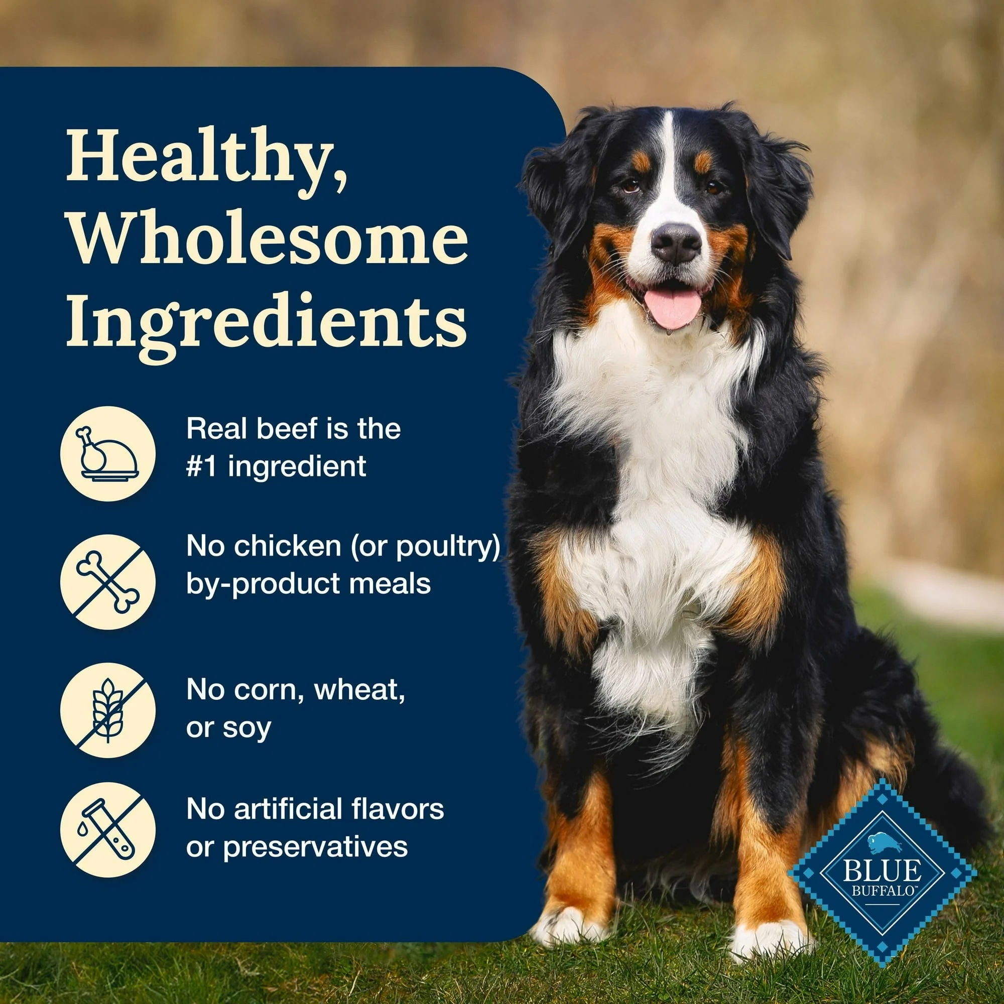 Blue Buffalo Delectables Natural Wet Dog Food Toppers, Hearty Beef, 3-oz Pouch - Image 7