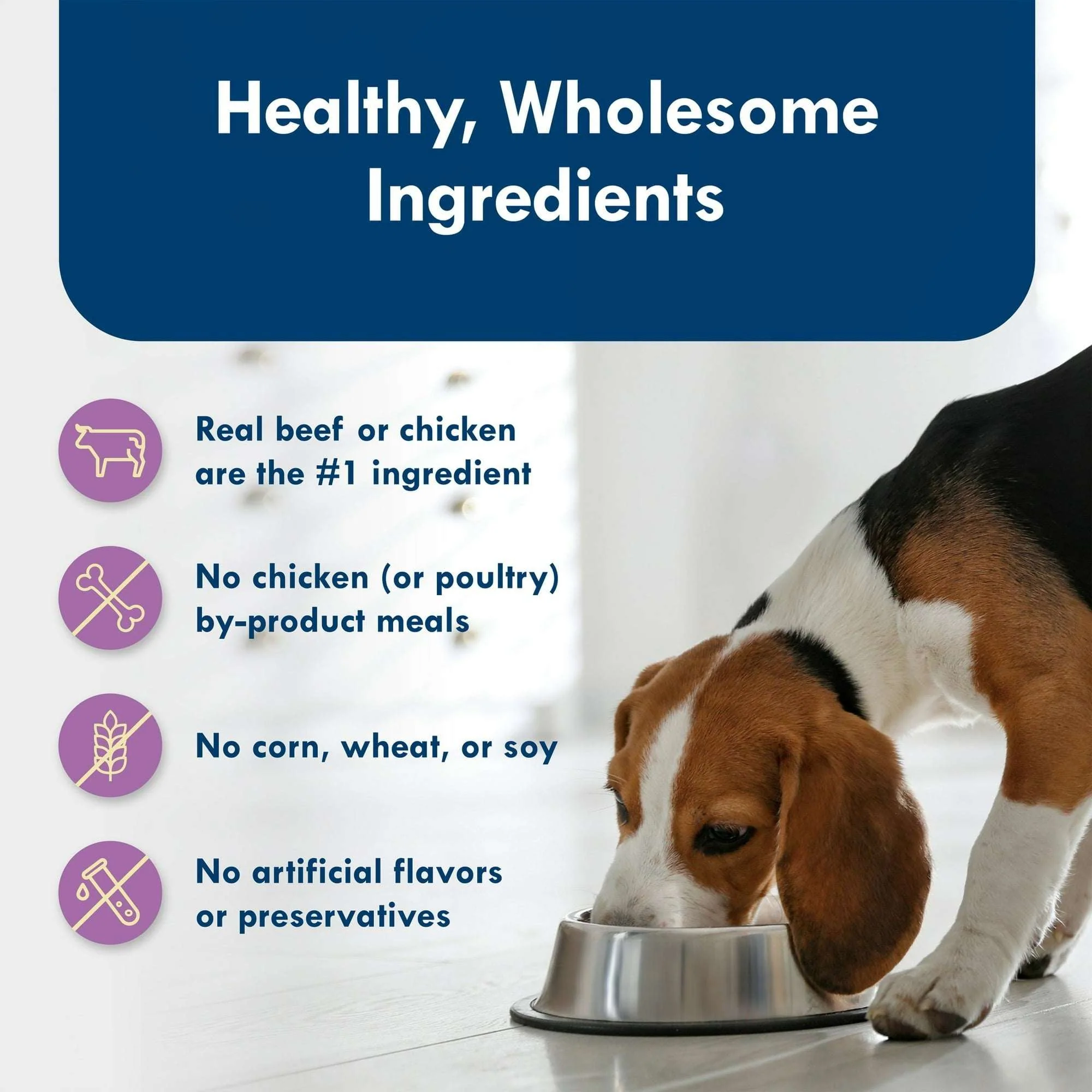 Blue Buffalo Delights Small Breed Natural Wet Dog Food Variety Pack, 3.5-oz. Cups, 12 Count - Image 6