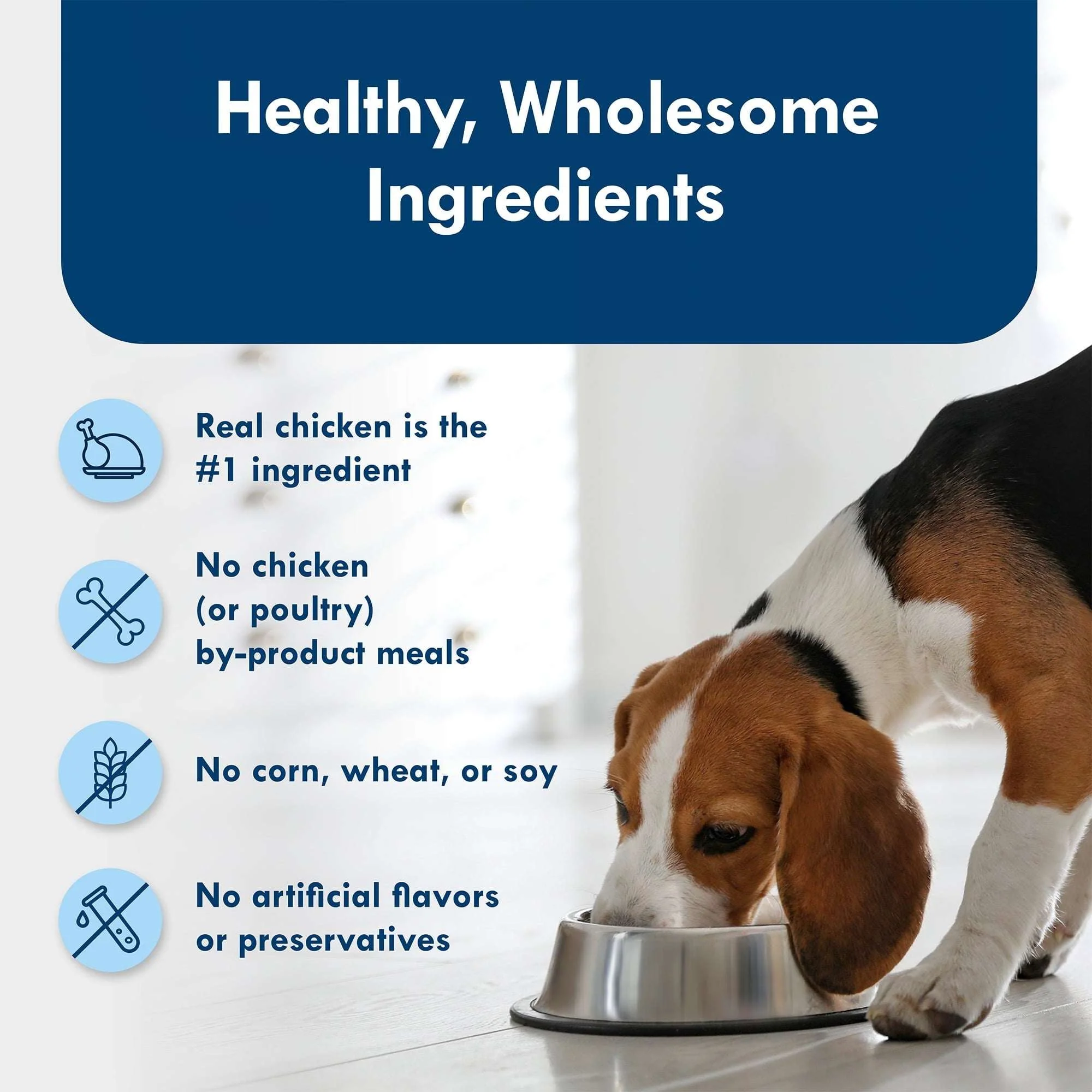 Blue Buffalo Delights Small Breed Roasted Chicken Flavor in Hearty Gravy Wet Dog Food for Adult Dogs, Grain-Free, 3.5 oz. Cup - Image 7
