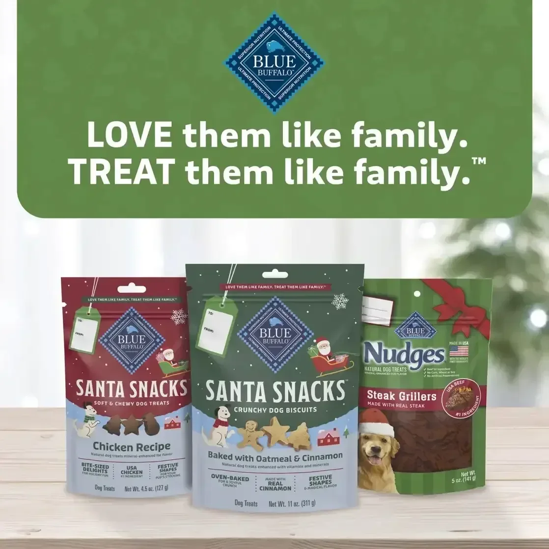 Blue Buffalo Santa Snacks Crunchy Dog Biscuits, Oven-Baked, Oatmeal & Cinnamon, 11-oz. Bag - Image 8