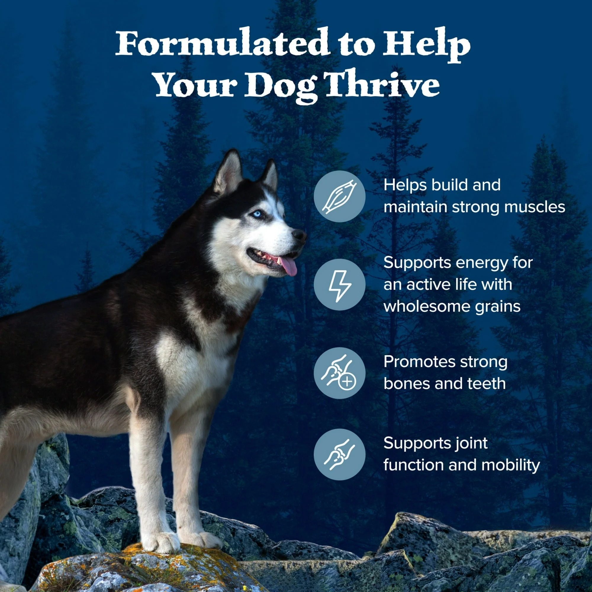 Blue Buffalo Wilderness Natural Dry Dog Food Plus Wholesome Grains, Chicken - Image 30