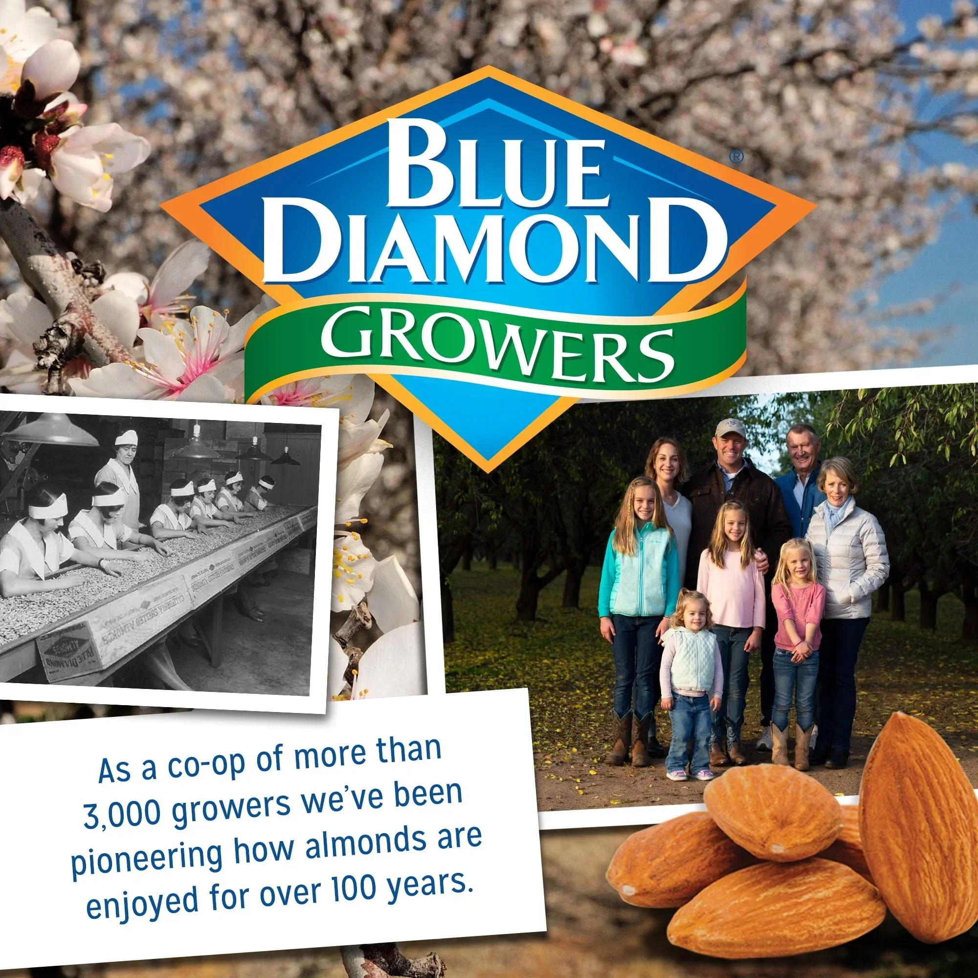 Blue Diamond Almonds, Classic Smokehouse Flavored Healthy Snack Nuts Perfect for Snacking and On-The-Go, 6 oz - Image 6