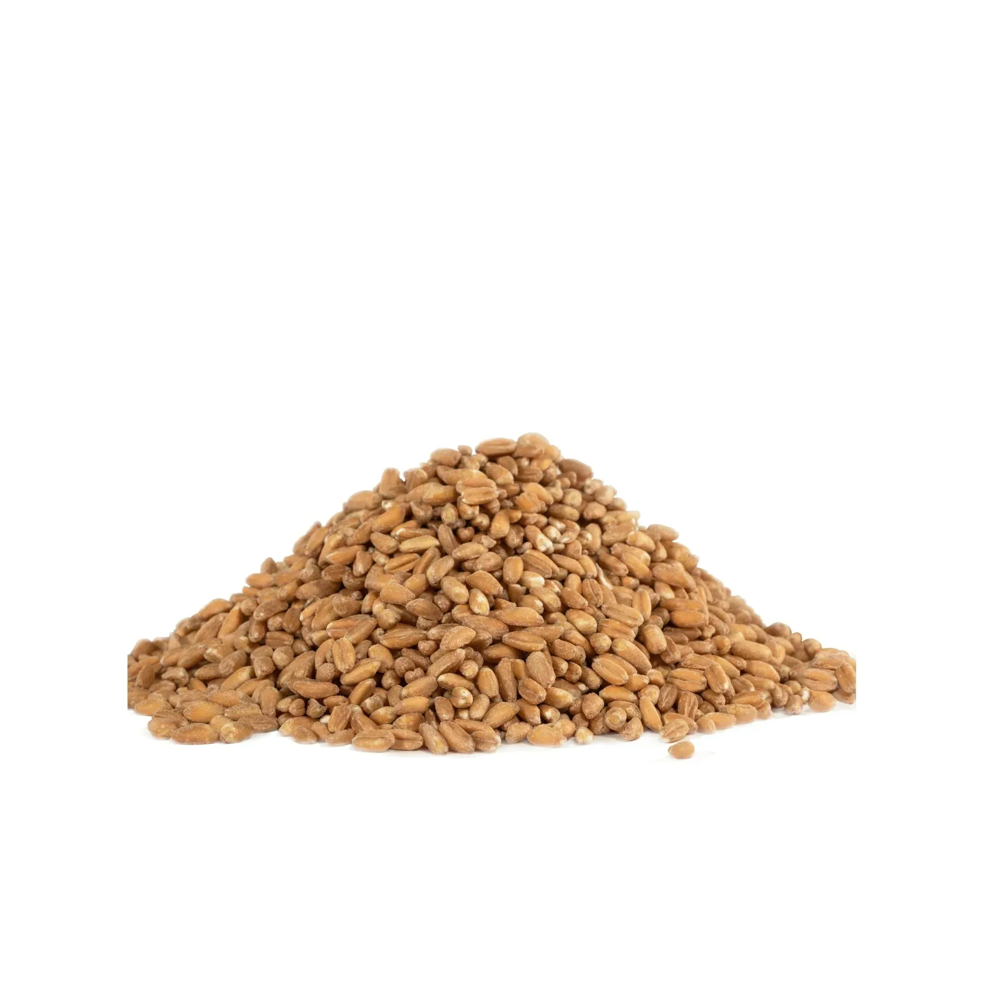 Bob's Red Mill Organic Farro Grain 24 oz - Image 4