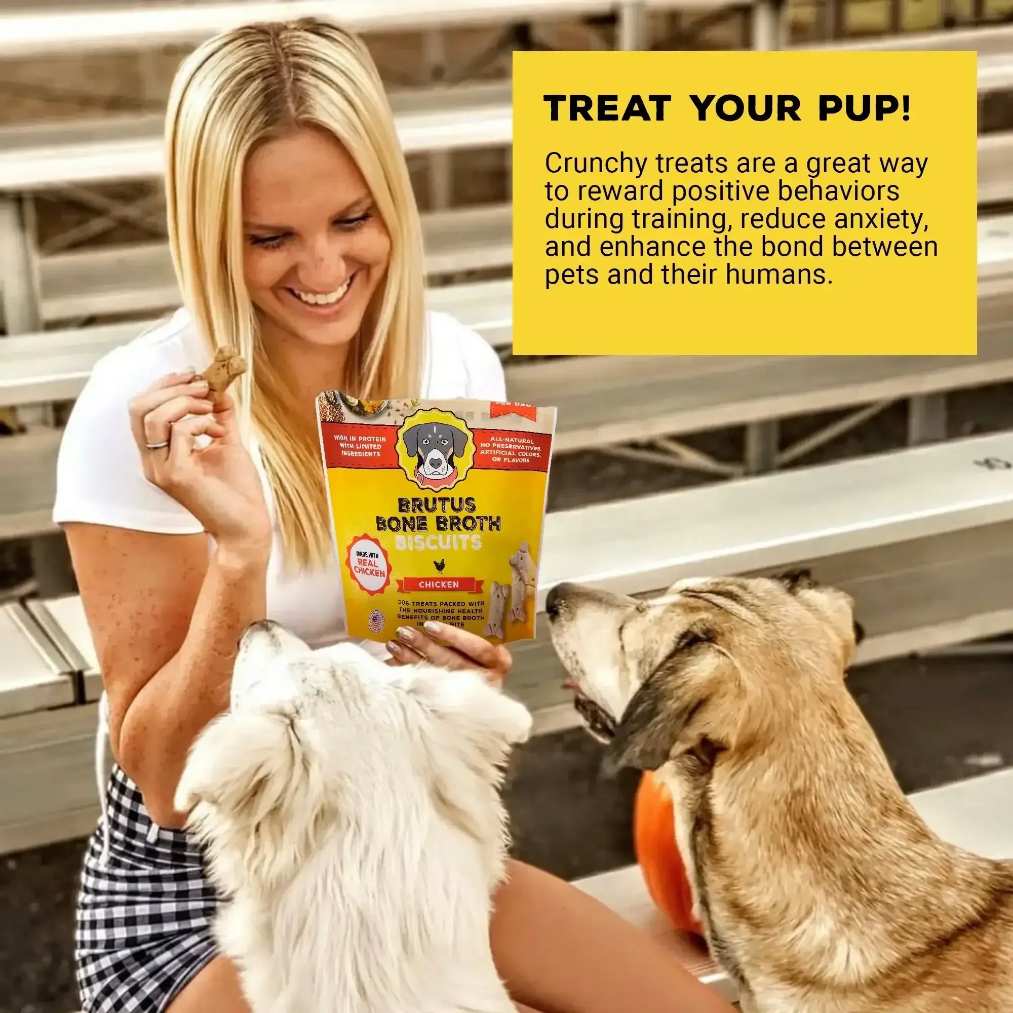 Brutus Bone Broth Biscuits (Chicken) - Healthy Dog Treats -Pet Food Topper - Natural Dog Biscuits with Dog Bone Broth and Real Chicken Meat - 18 Grams of Protein - 8 OZ - Image 3