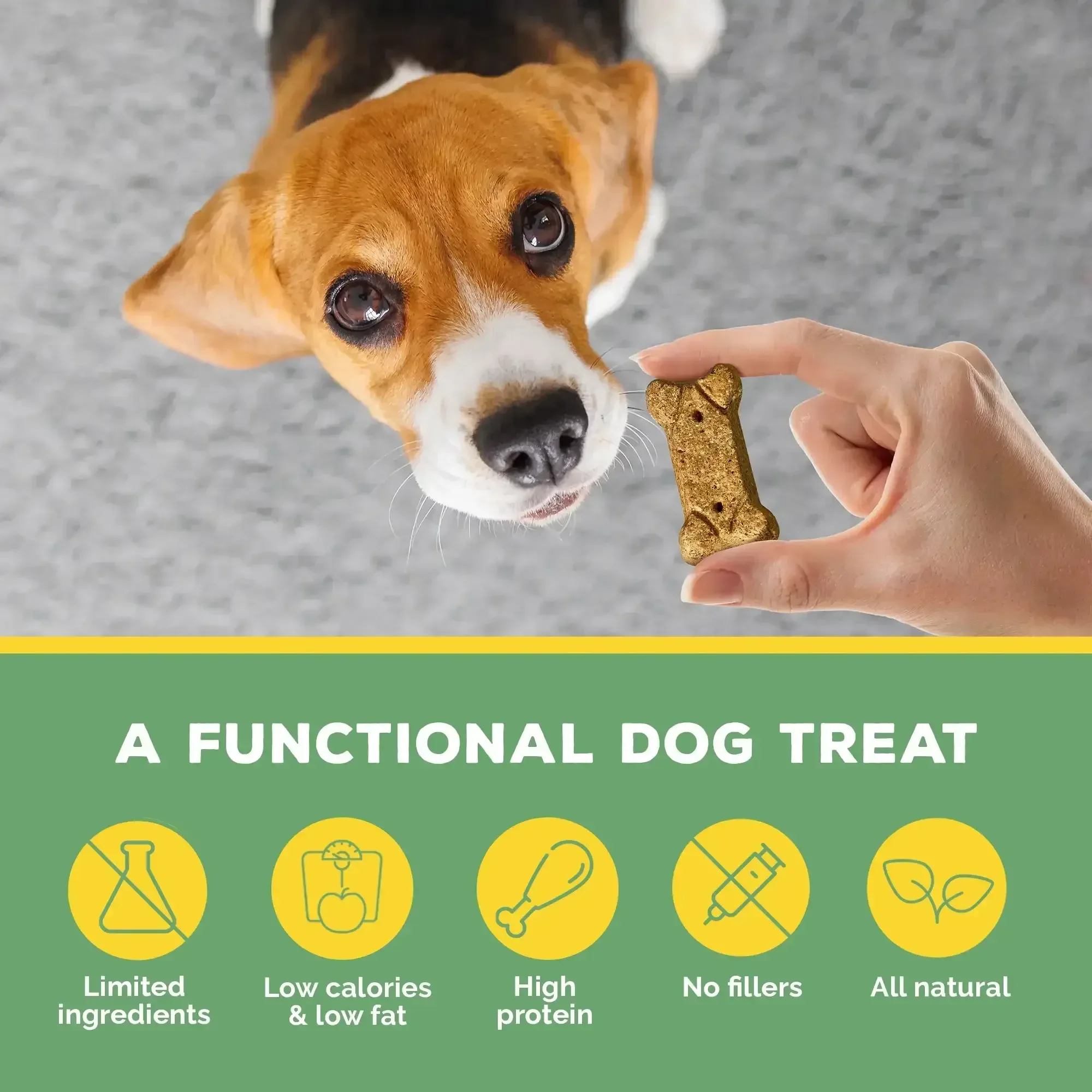 Brutus Bone Broth Biscuits (Chicken) - Healthy Dog Treats -Pet Food Topper - Natural Dog Biscuits with Dog Bone Broth and Real Chicken Meat - 18 Grams of Protein - 8 OZ - Image 5