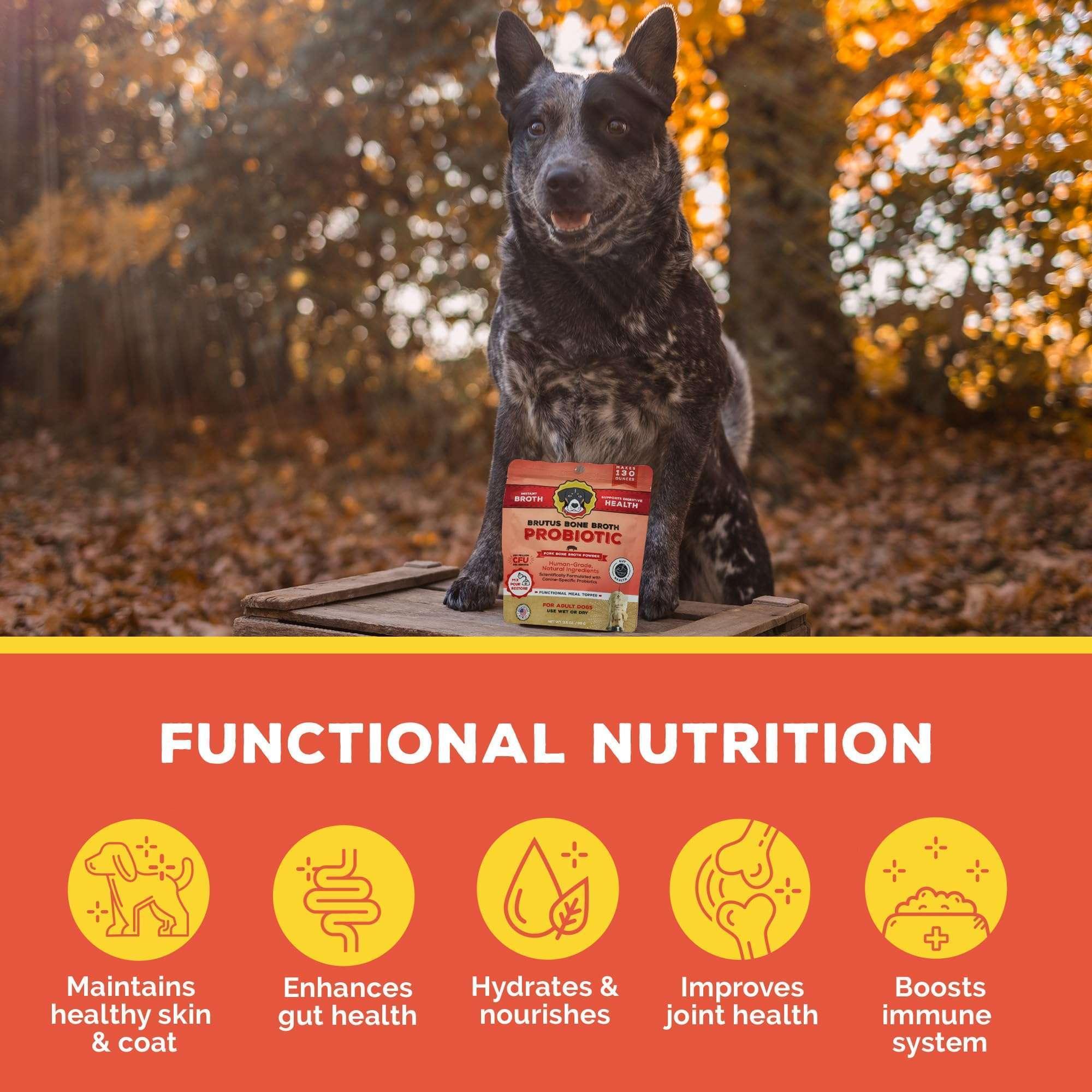 Brutus Bone Broth Probiotic Meal Toppers for Dogs Mega Pack (Pork) - Pet Food Topper - Bone Broth Powder Fortified - Pet Safe Human Grade Dog Food Topper - Makes Up to 130 Liquid Oz - Image 5