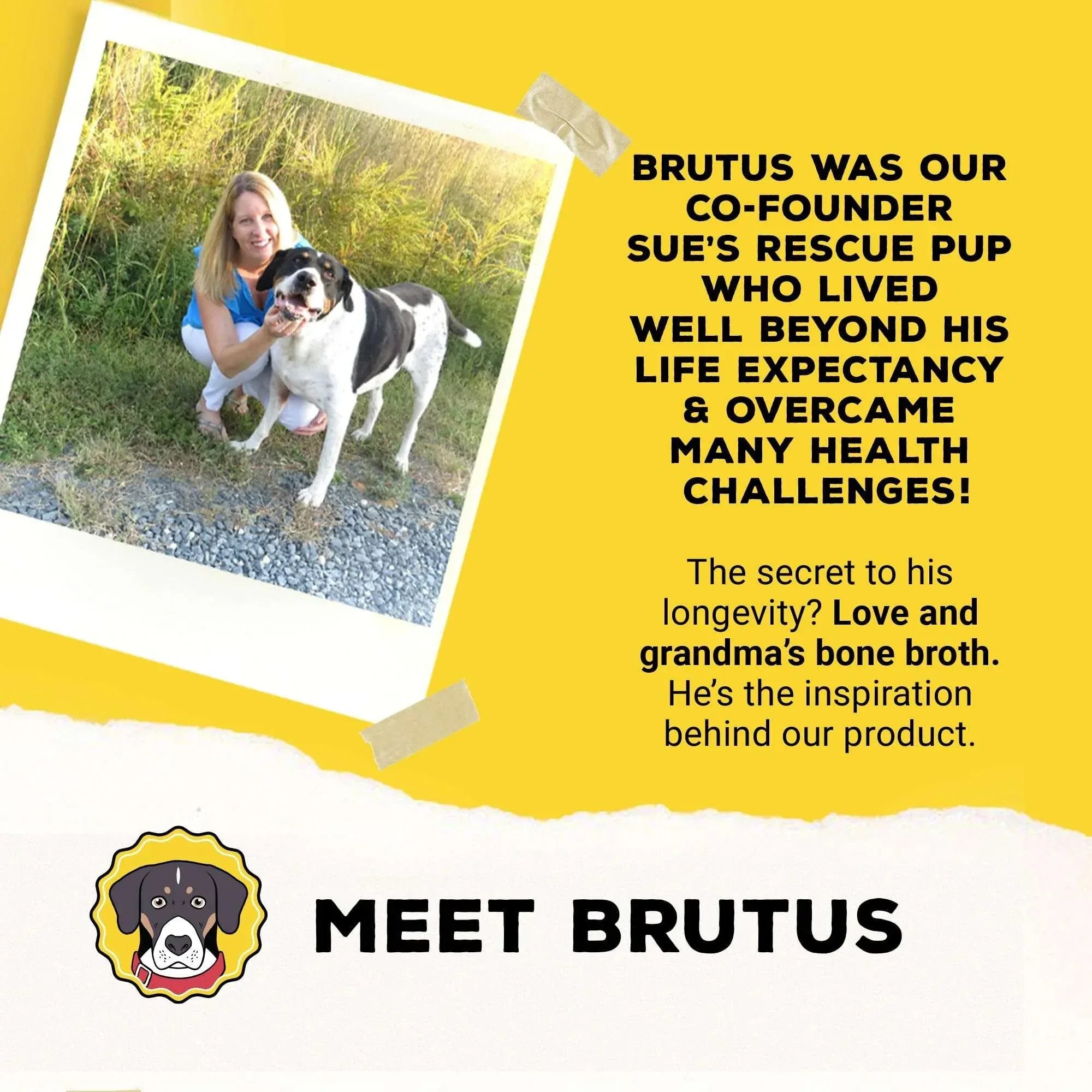 Brutus Bone Broth Probiotic Meal Toppers for Dogs Mega Pack (Pork) - Pet Food Topper - Bone Broth Powder Fortified - Pet Safe Human Grade Dog Food Topper - Makes Up to 130 Liquid Oz - Image 7