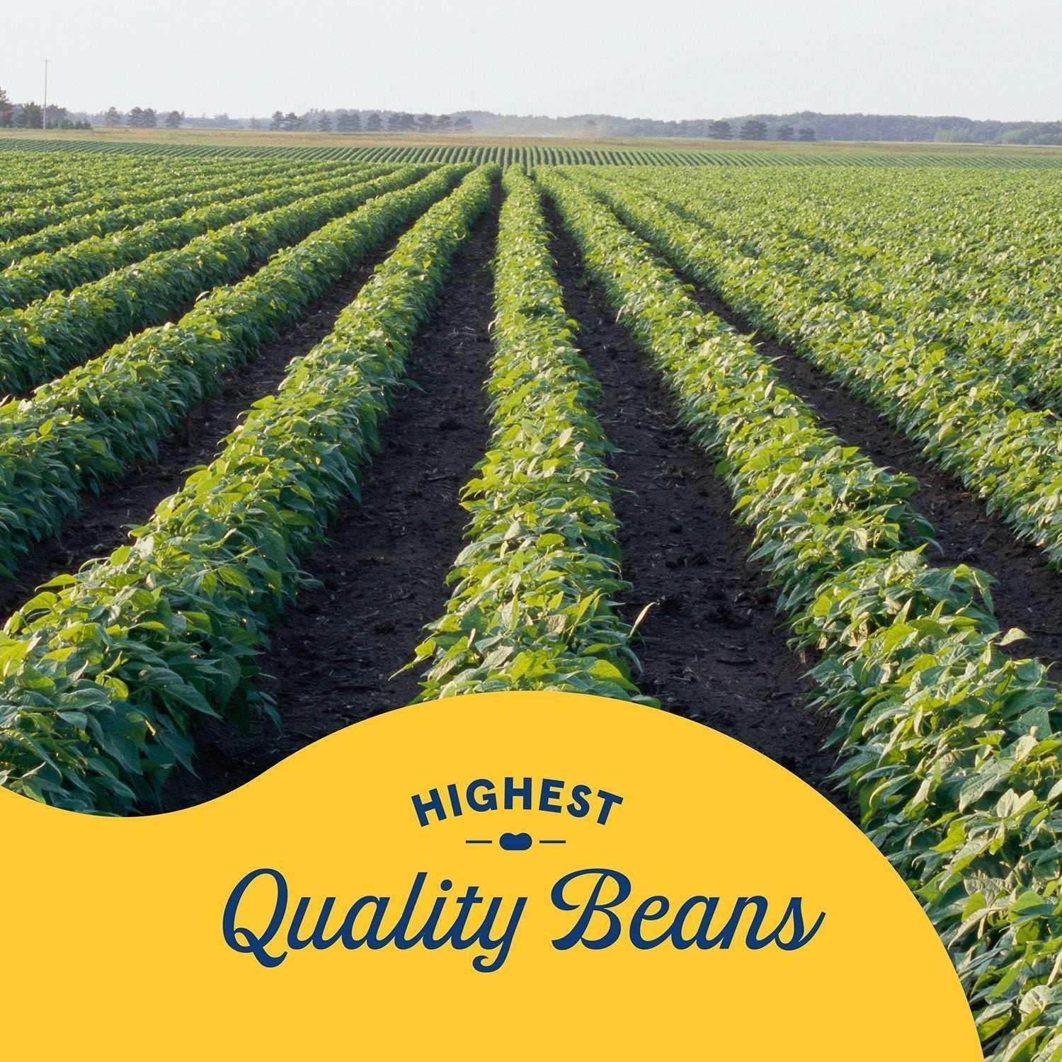 Bush's Dark Red Kidney Beans 16 oz., 6 pk. - Image 5