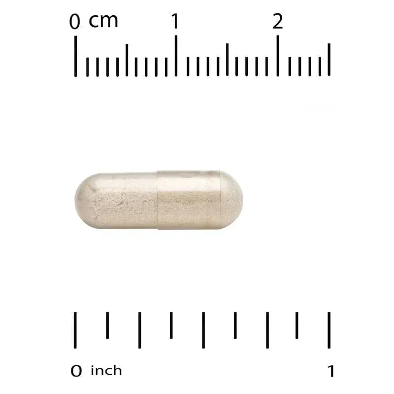 California Gold Nutrition, Akkermansia 30B, 60 Veggie Capsules - Image 8