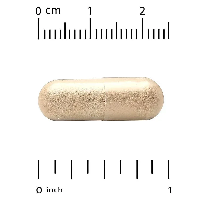 California Gold Nutrition, EuroHerbs™, Echinacea Herb Extract, Euromed Quality, 80 mg - Image 8