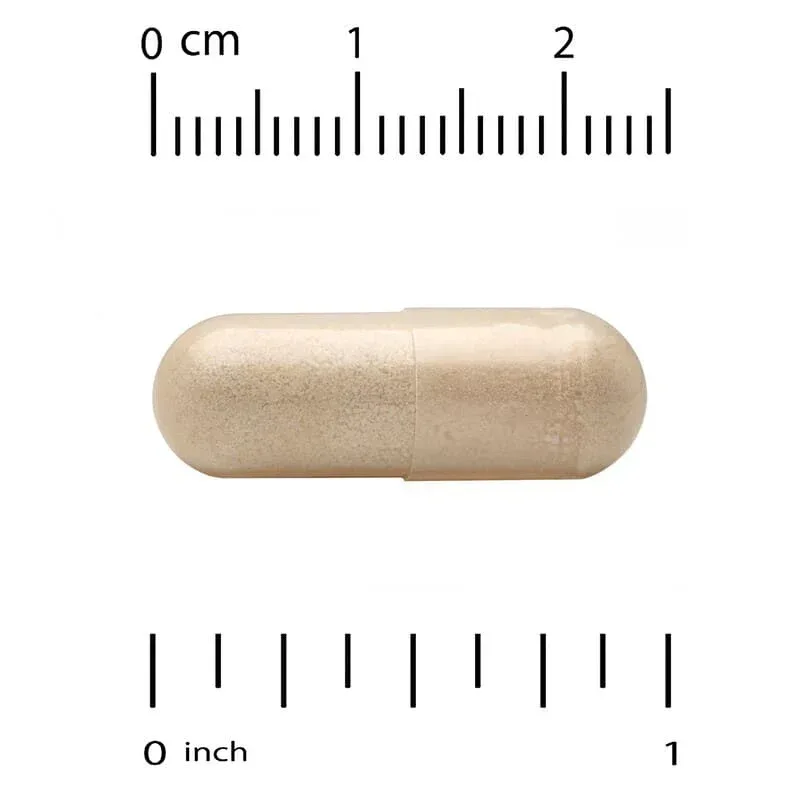 California Gold Nutrition, EuroHerbs™, Ginkgo Biloba Extract, Euromed Quality, 120 mg, 60 Veggie Capsules - Image 3