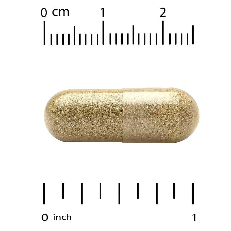 California Gold Nutrition, EuroHerbs™, Lemon Balm Extract, Euromed Quality, 500 mg - Image 8