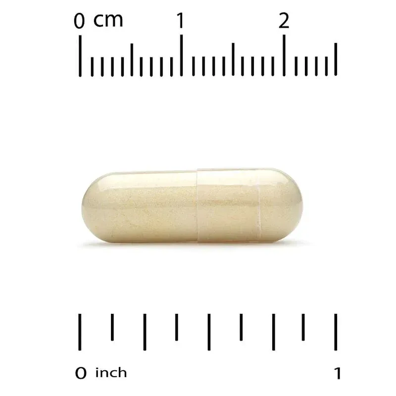 California Gold Nutrition, New Zealand Green-Lipped Mussel with Ginger Extract, 500 mg, 240 Veggie Capsules - Image 3