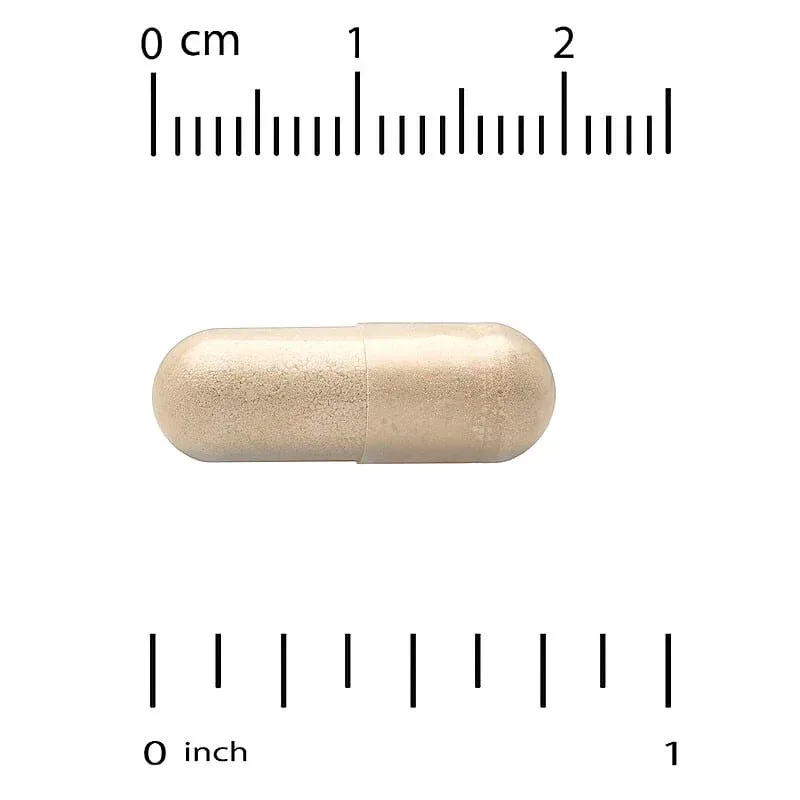 California Gold Nutrition, Organic Mushroom, 60 Veggie Capsules (0.5 g per Capsule) - Image 2