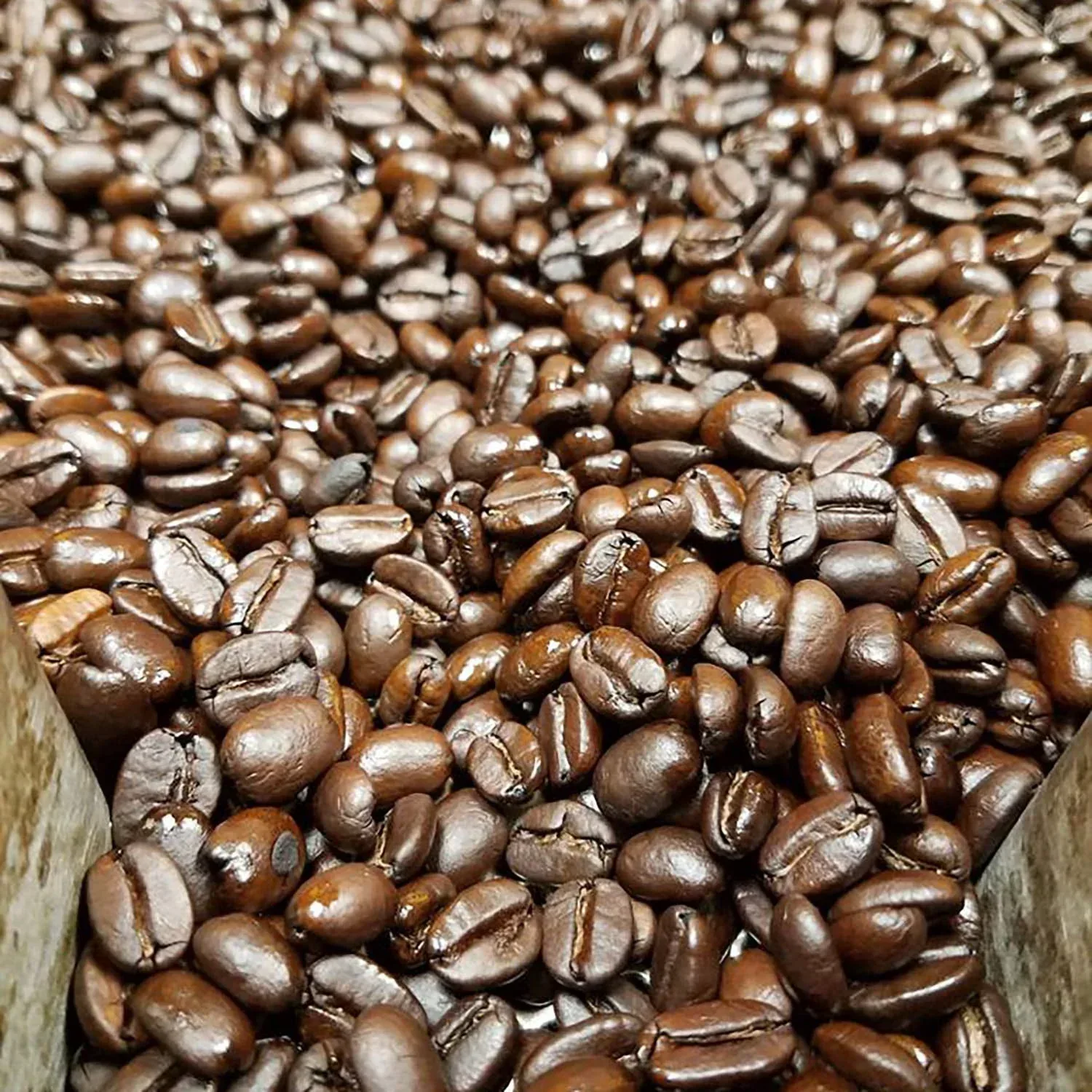 Cameron's Coffee Donut Shop Medium Roast Whole Bean Coffee - 28 oz - Image 4