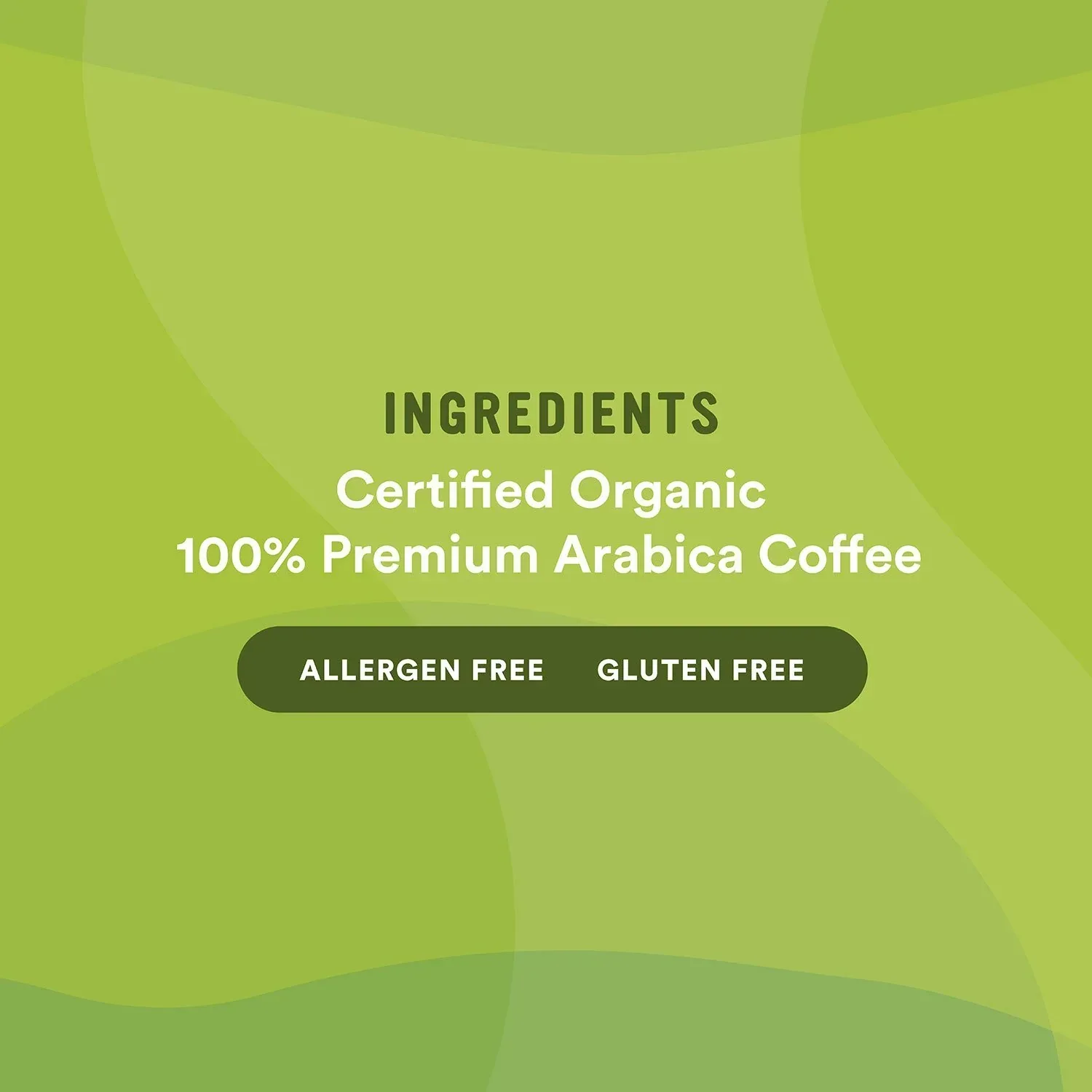 Cameron's Organic Light Roast Whole Bean Coffee, Woods & Water 64 oz. - Image 2