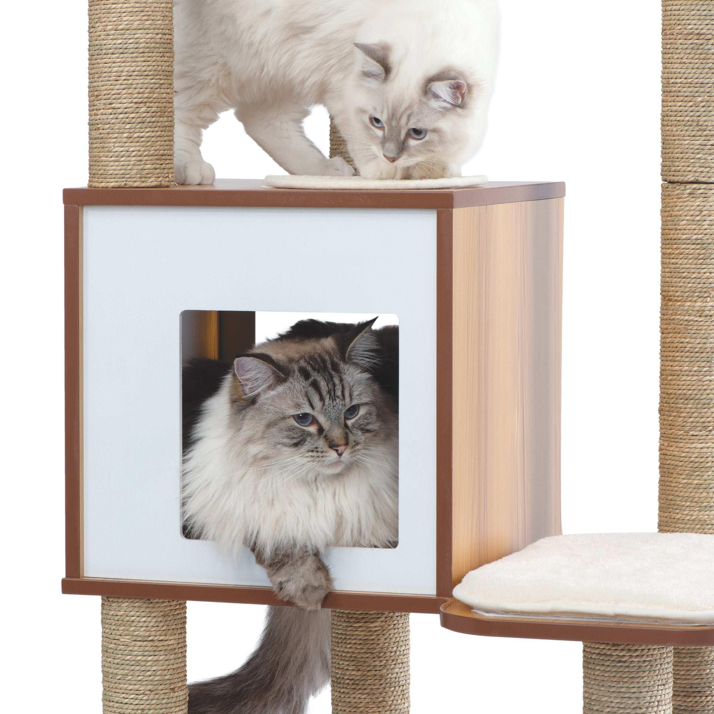 Catit Vesper High Base XL 62 inch Cat Tree, 5 Levels and 1 Condo, Walnut - Image 2