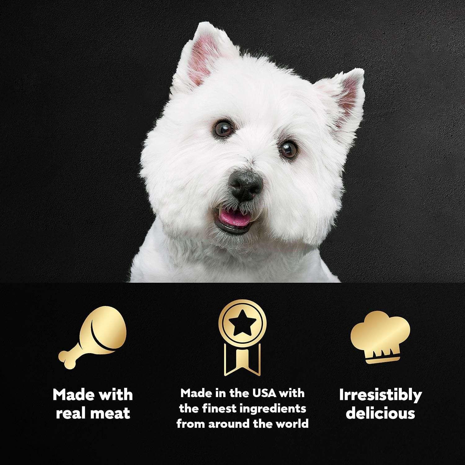 Cesar Canine Cuisine 4-Flavor Wet Dog Food Variety Pack, 48 ct. - Image 5