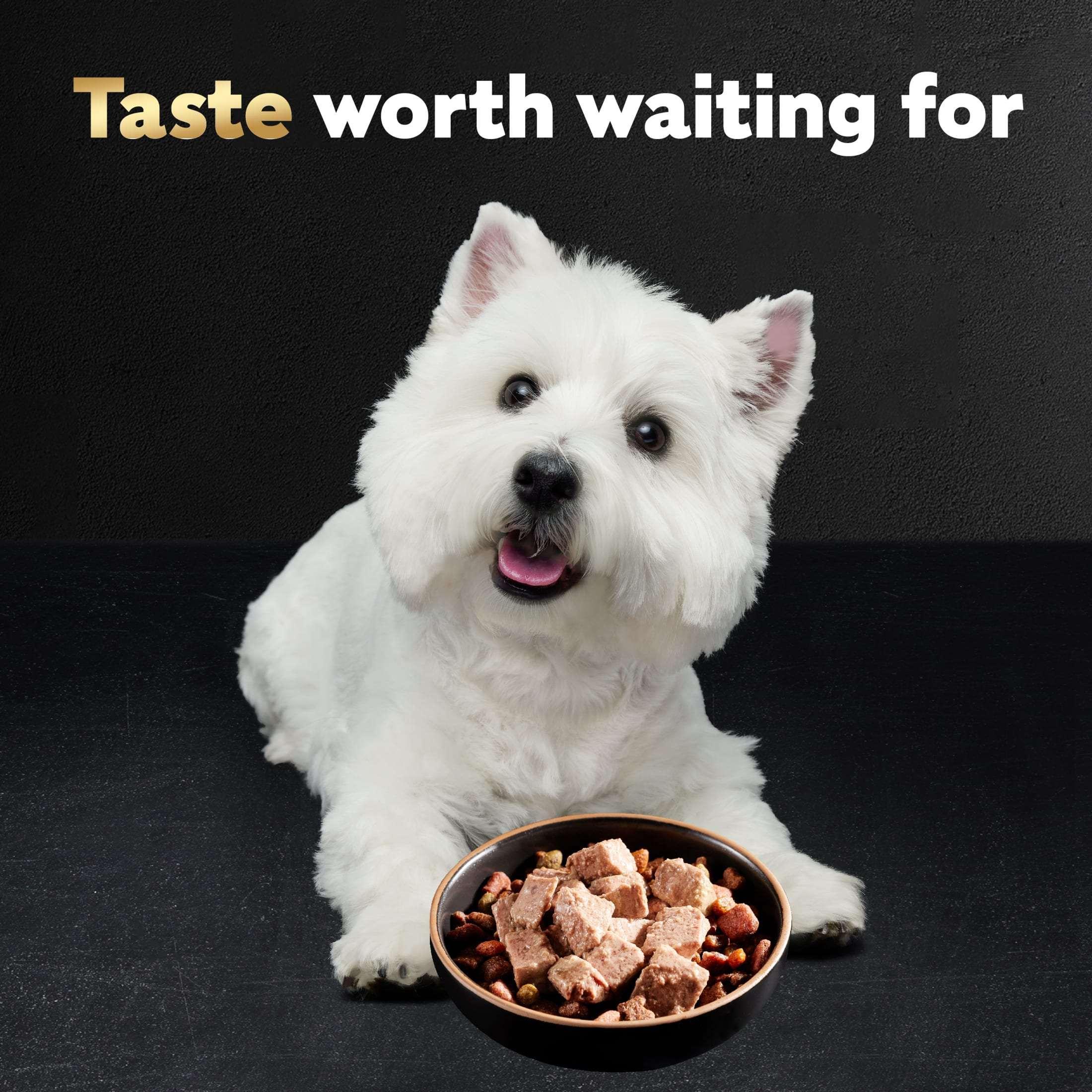 Cesar Classic Loaf In Sauce Wet Dog Food Variety Pack, 3.5 Oz Trays (24 Pack) - Image 6