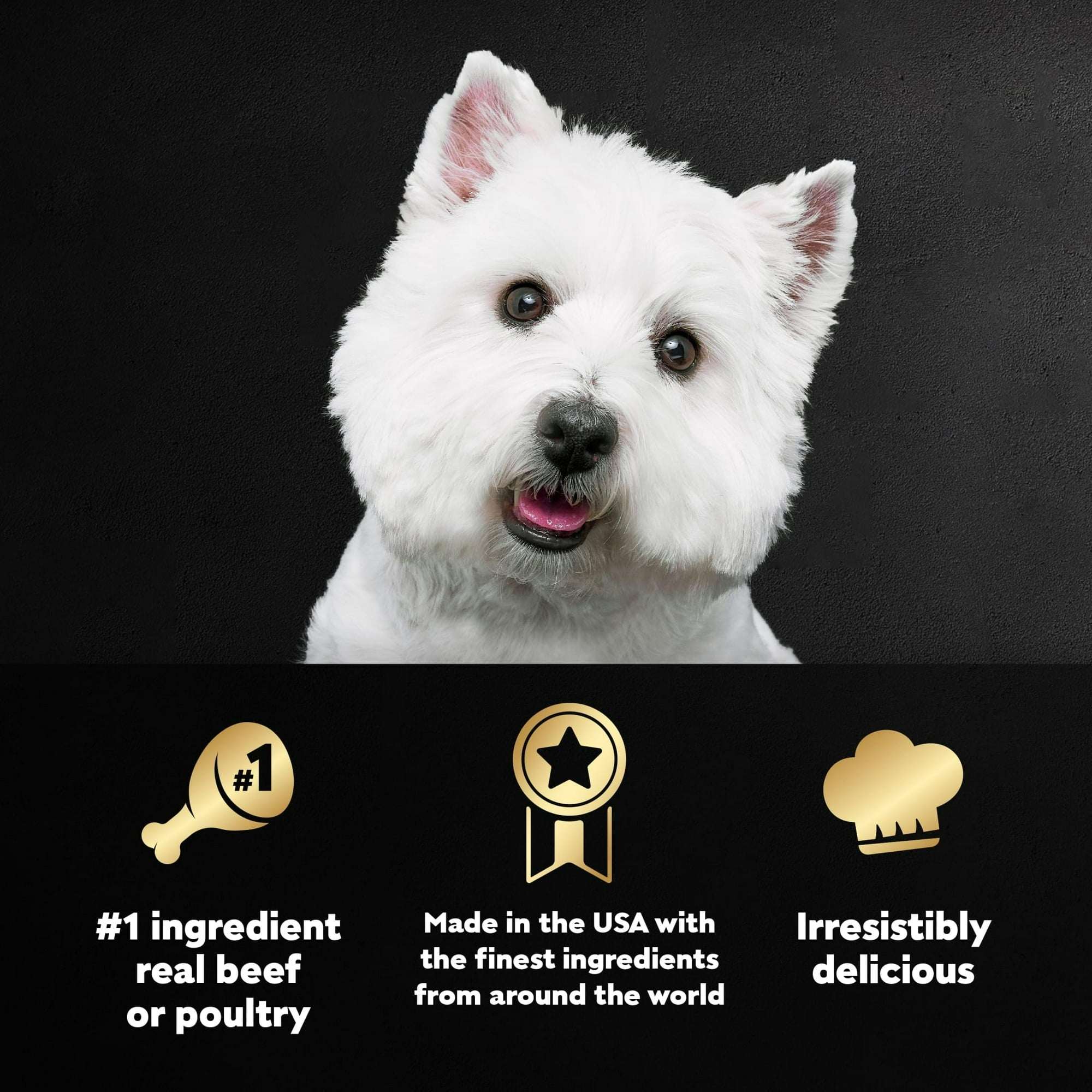 Cesar Classic Loaf In Sauce Wet Dog Food Variety Pack, 3.5 Oz Trays (36 Pack) - Image 4