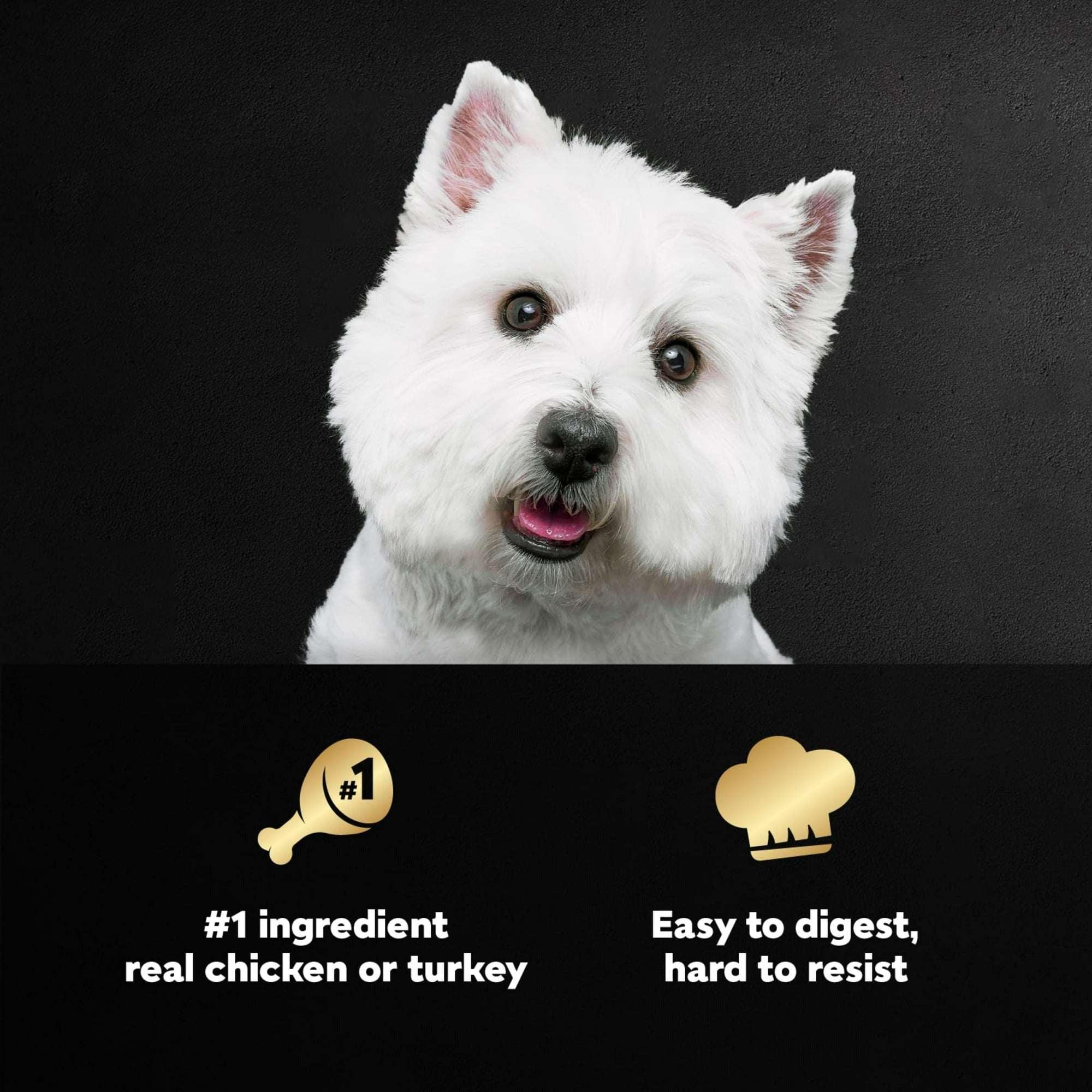 Cesar Filets in Gravy Poultry Flavor Variety Adult Wet Dog Food, 3.5 oz Trays (12 Pack) - Image 3